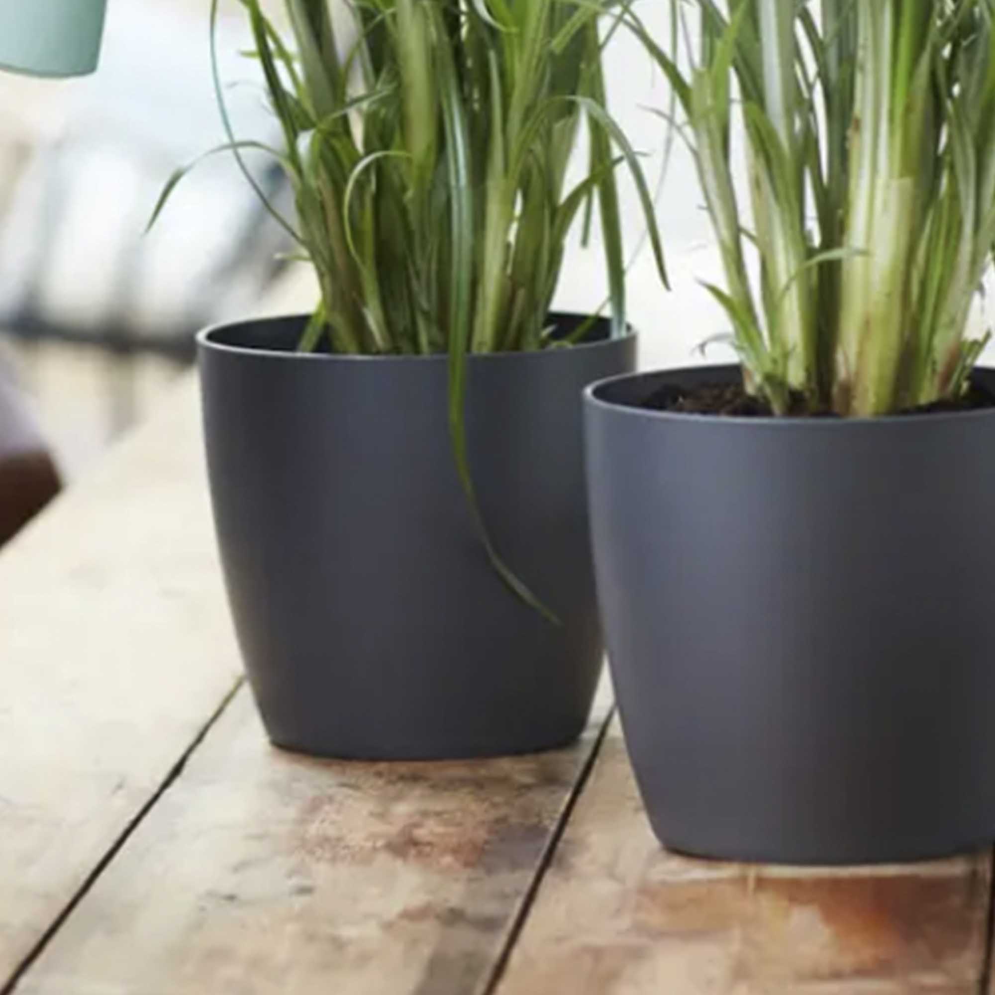 86178b5b2e1938b33cf37a2efc88ed77