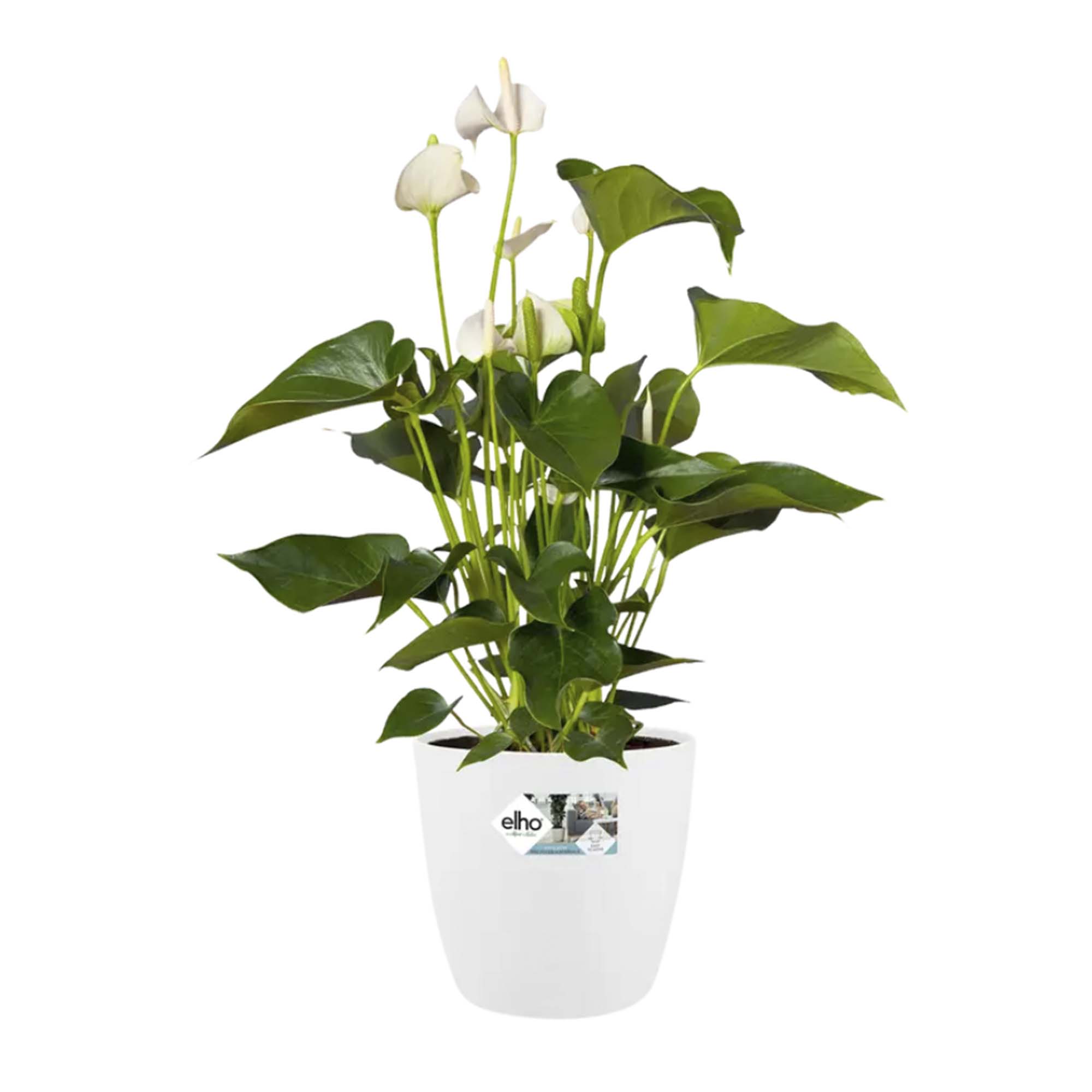 cc838f2f1e150f71e0b9b718be71d9e2