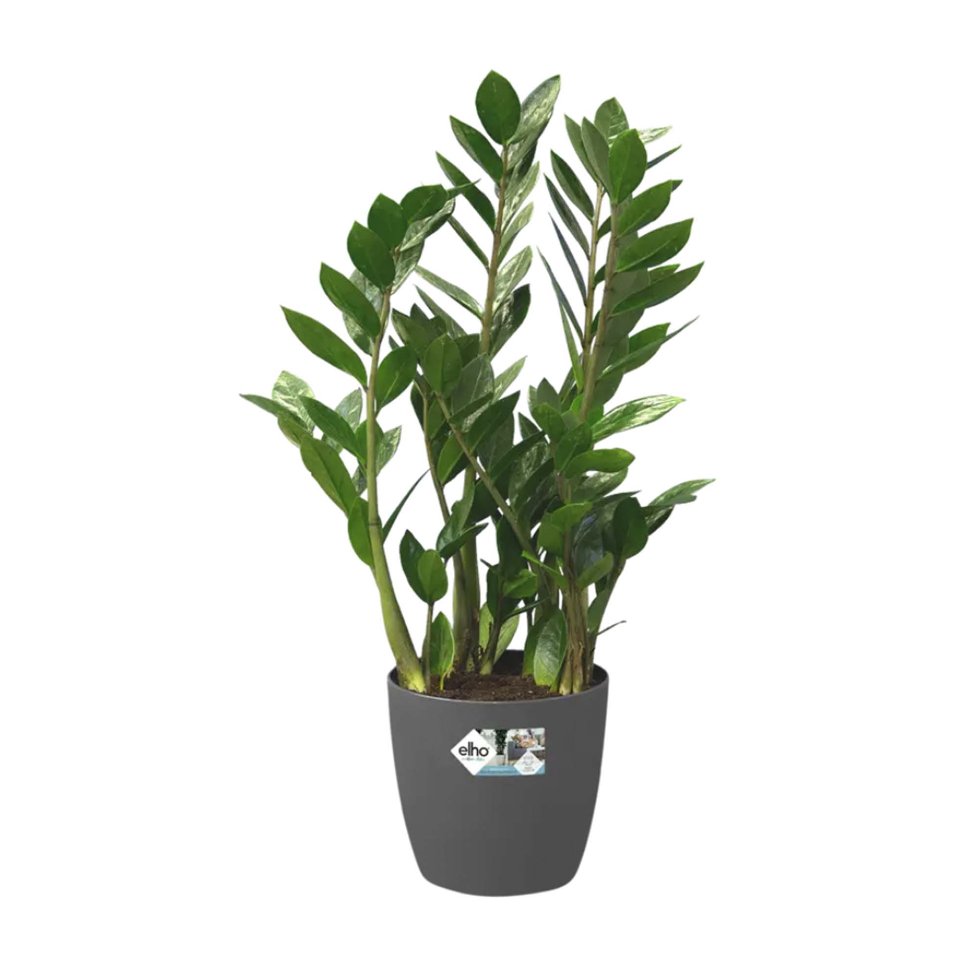 d6d350c0a2c149f53b7aff3d9e506f88