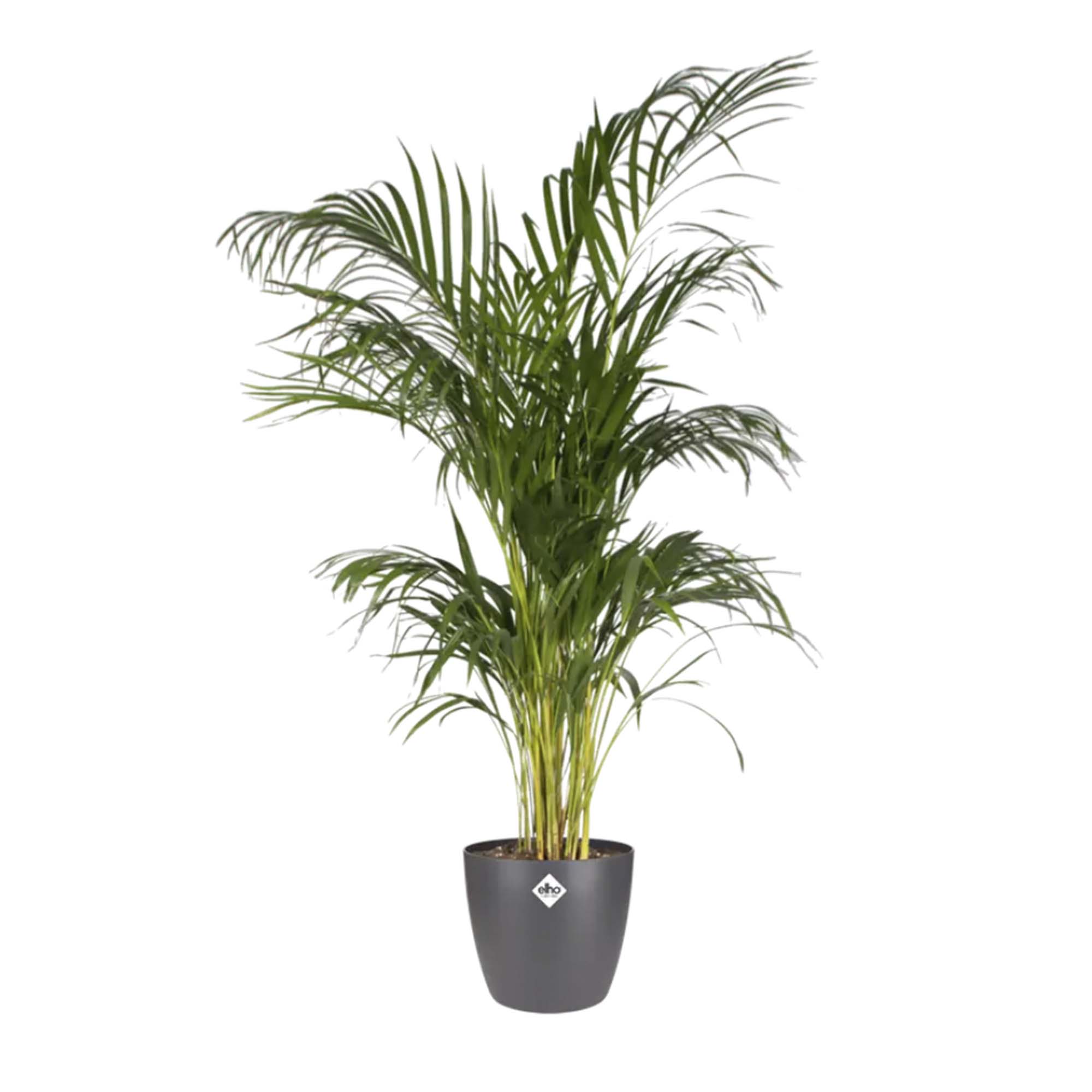 d698d9e9495bd62137f4b33ce2e60a05