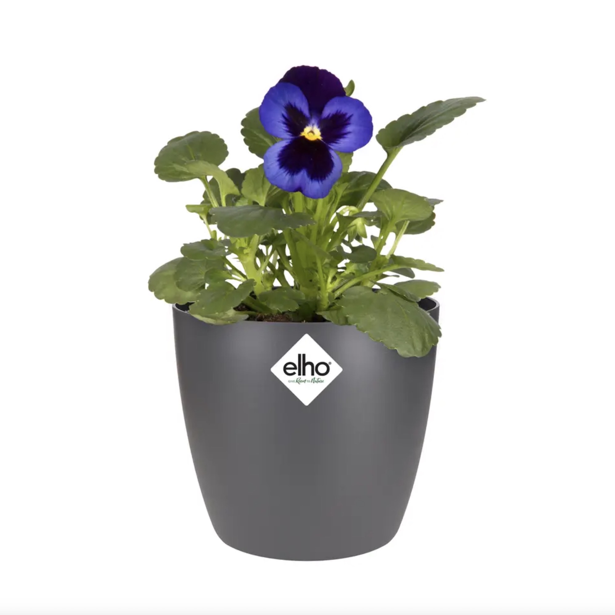 88bd3aec346afb2b134304a84c5f4c0a