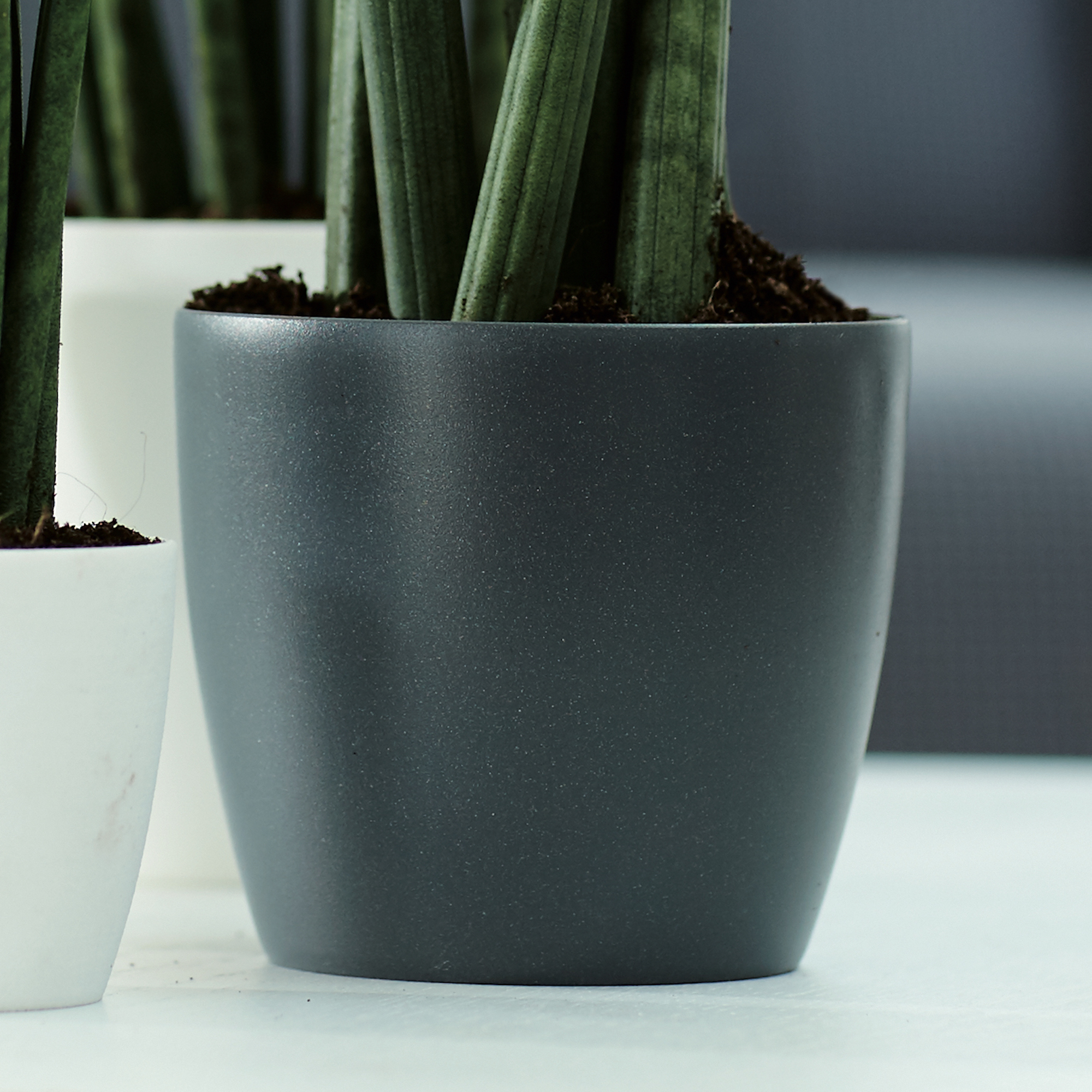 20ea8f2ce2d364ce8b3d67640ef2c8eb