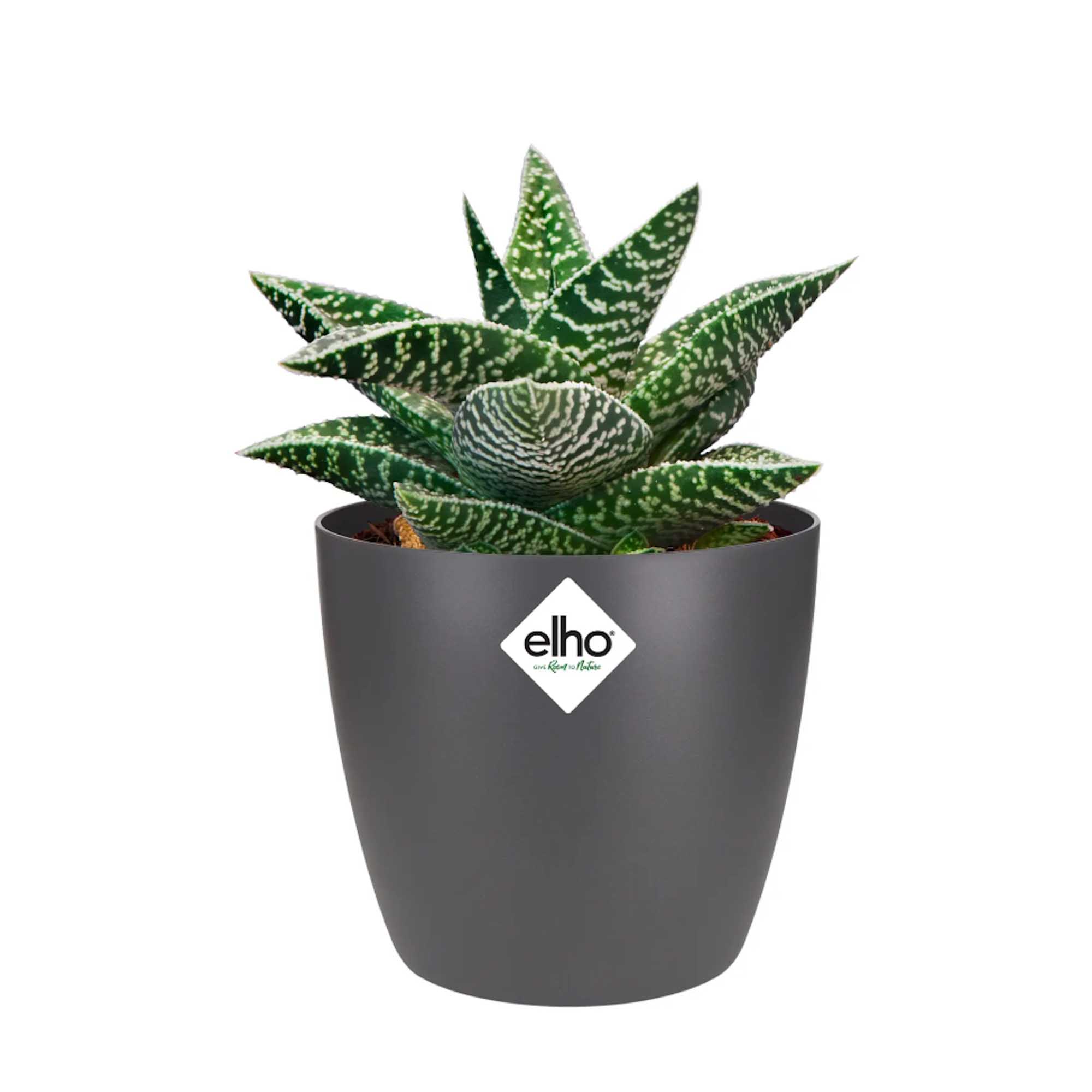 ccb007c67e09ff31961325c9bf536a56