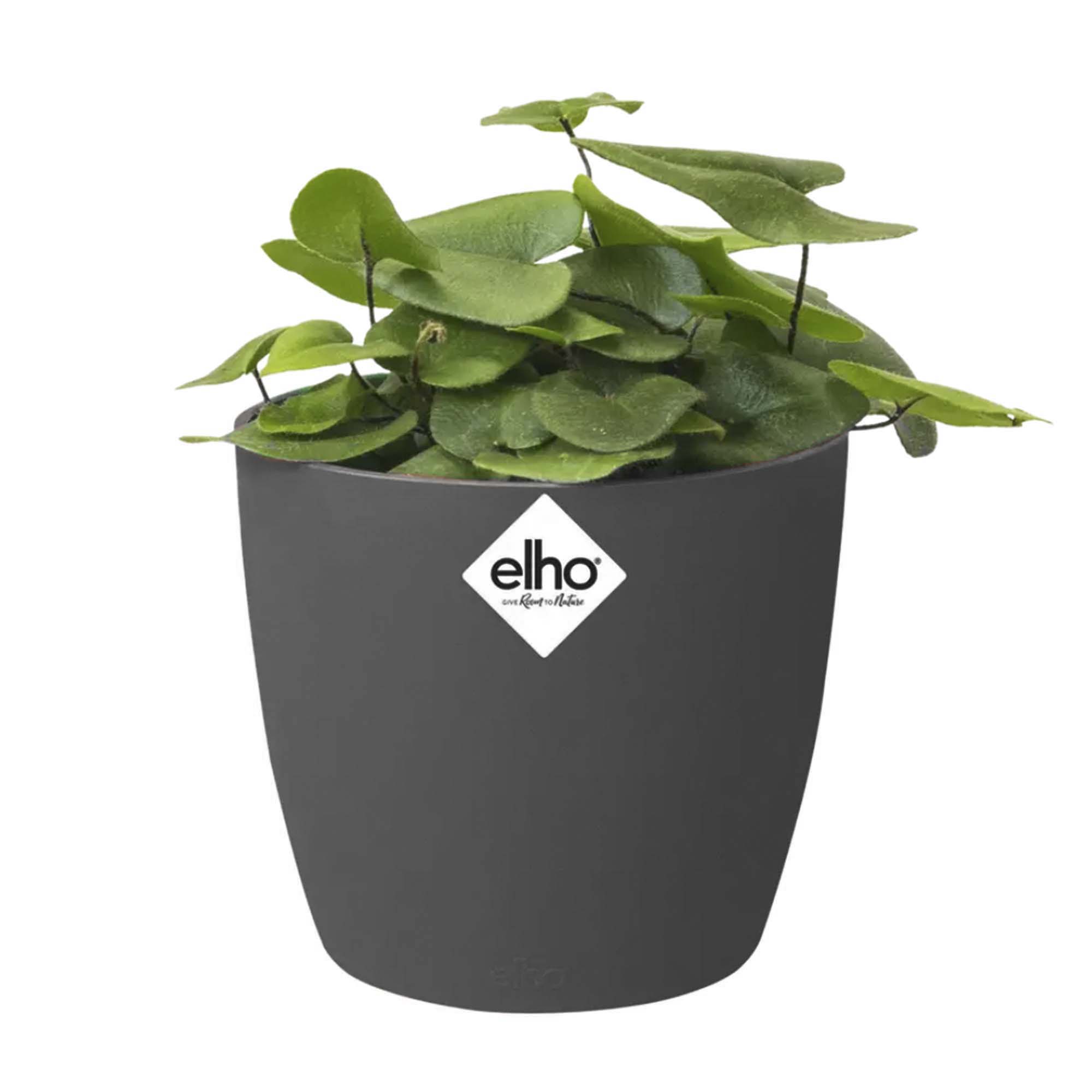 81701873ee8e20736a32a68561a80c53