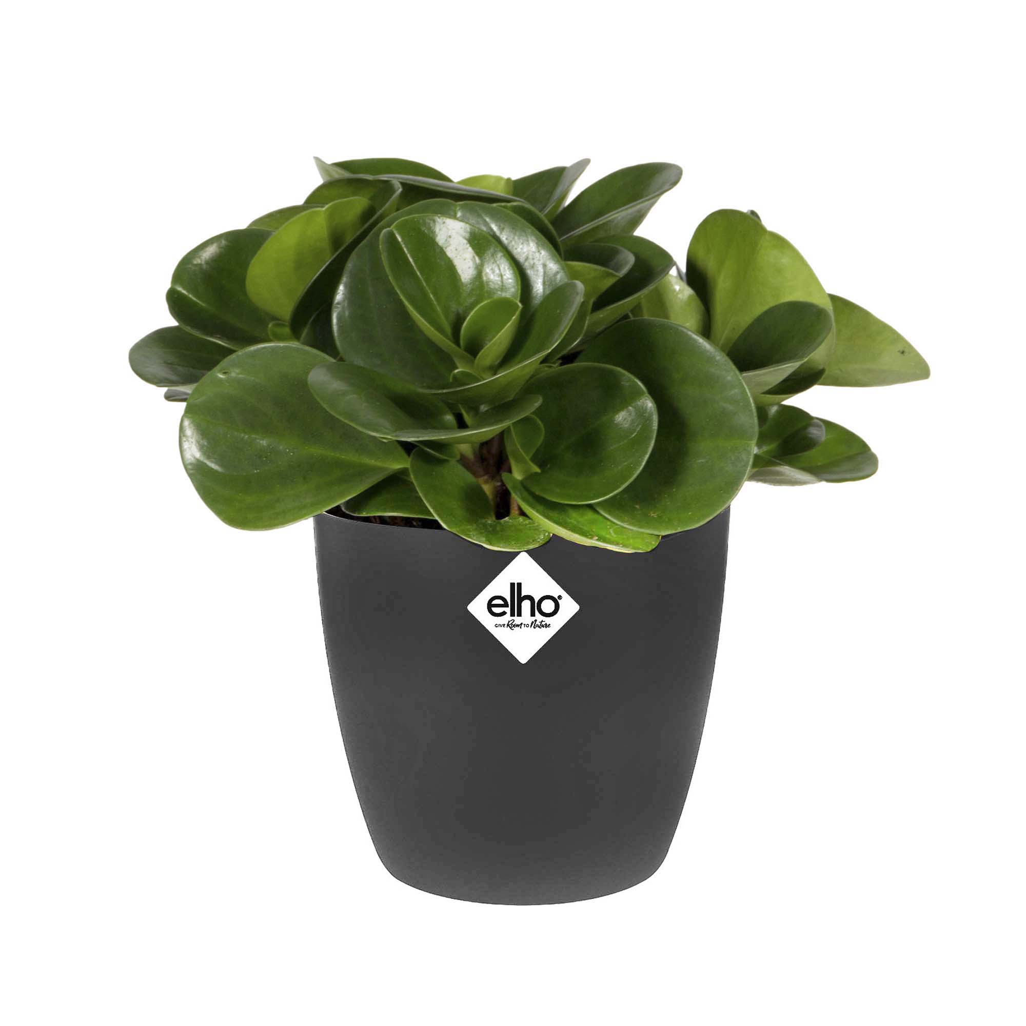 8e988b34f712d847858ff9a53dea18b9