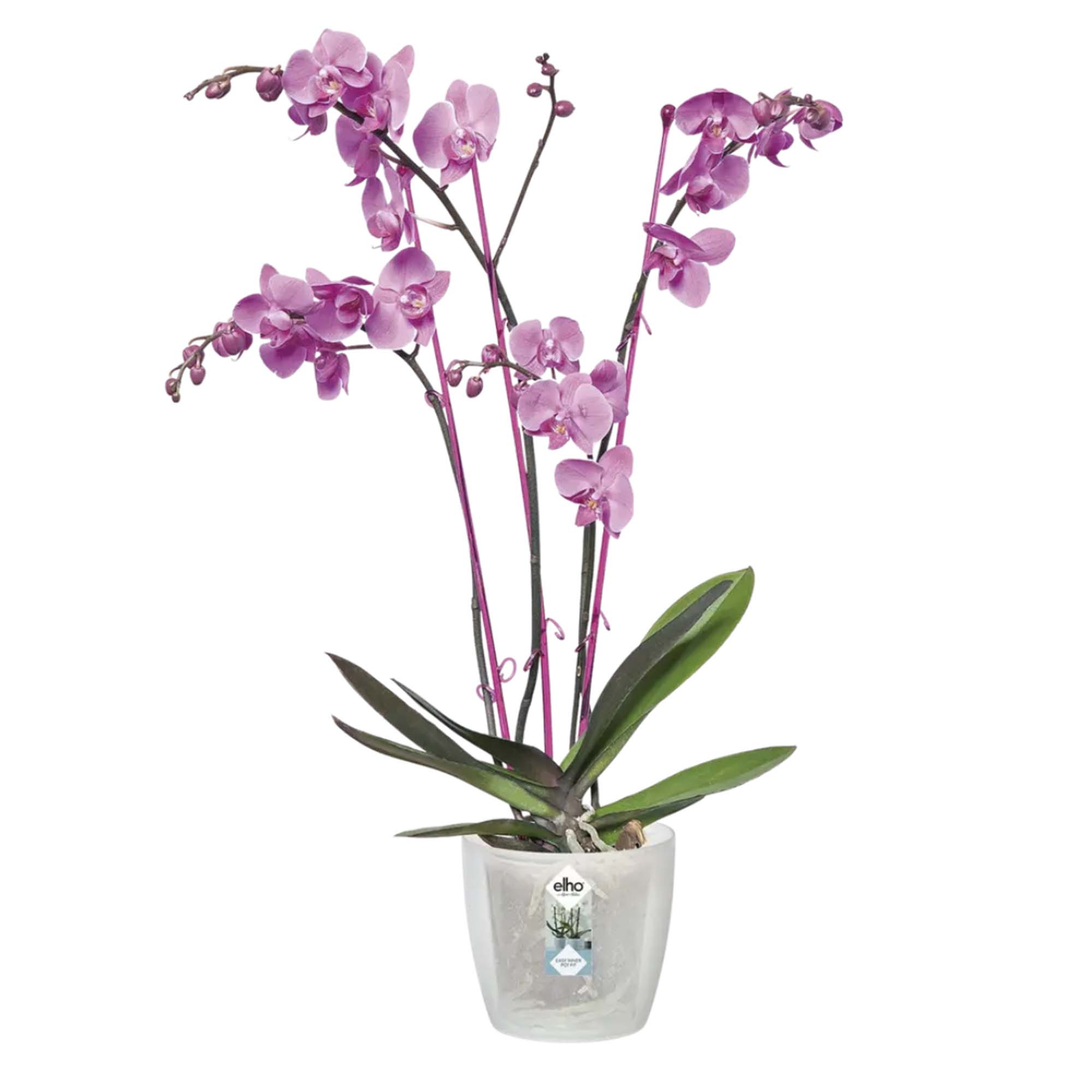 d6d3726740d7912797ba58c04f29545f