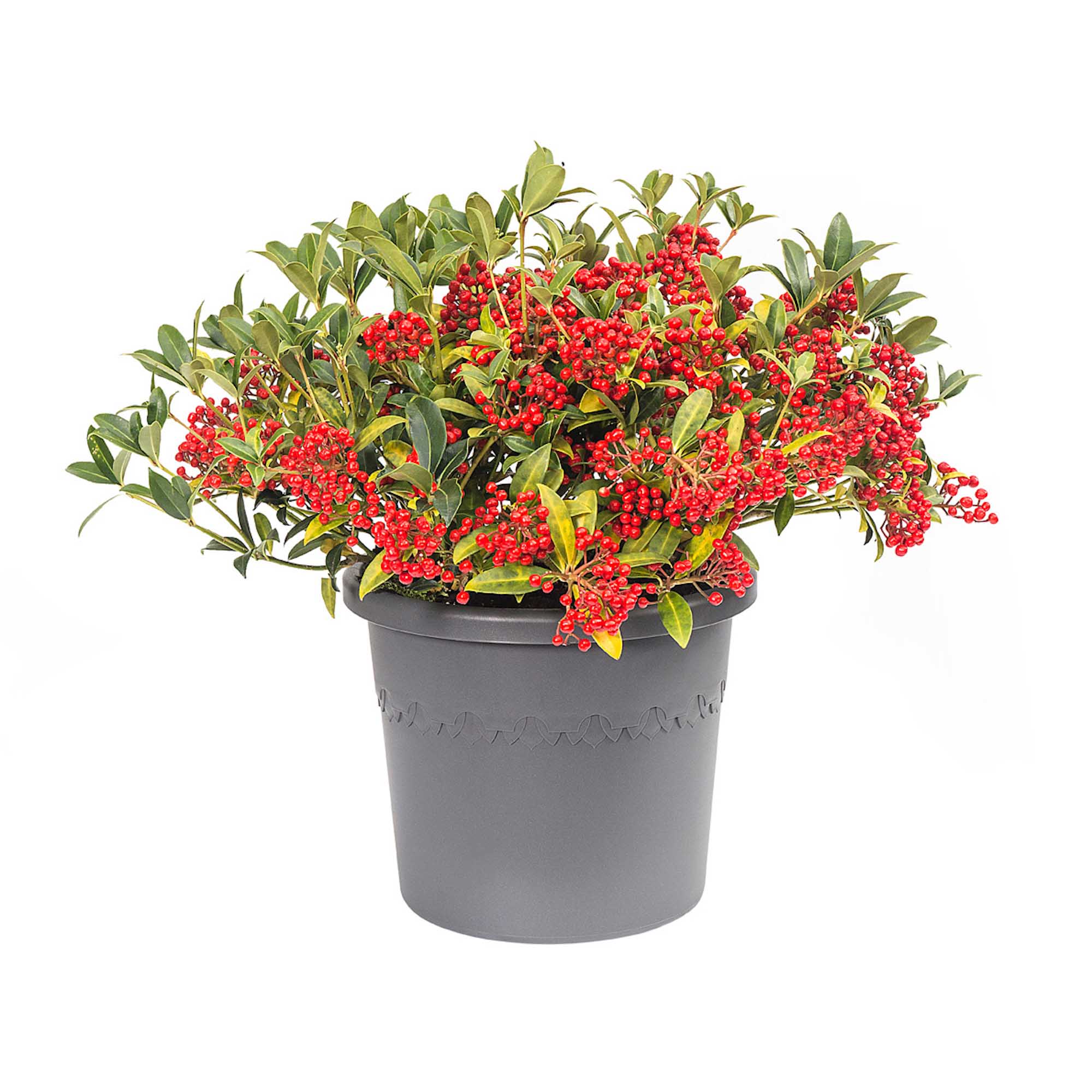 613e4f28b360bb10220d3042b9c12795