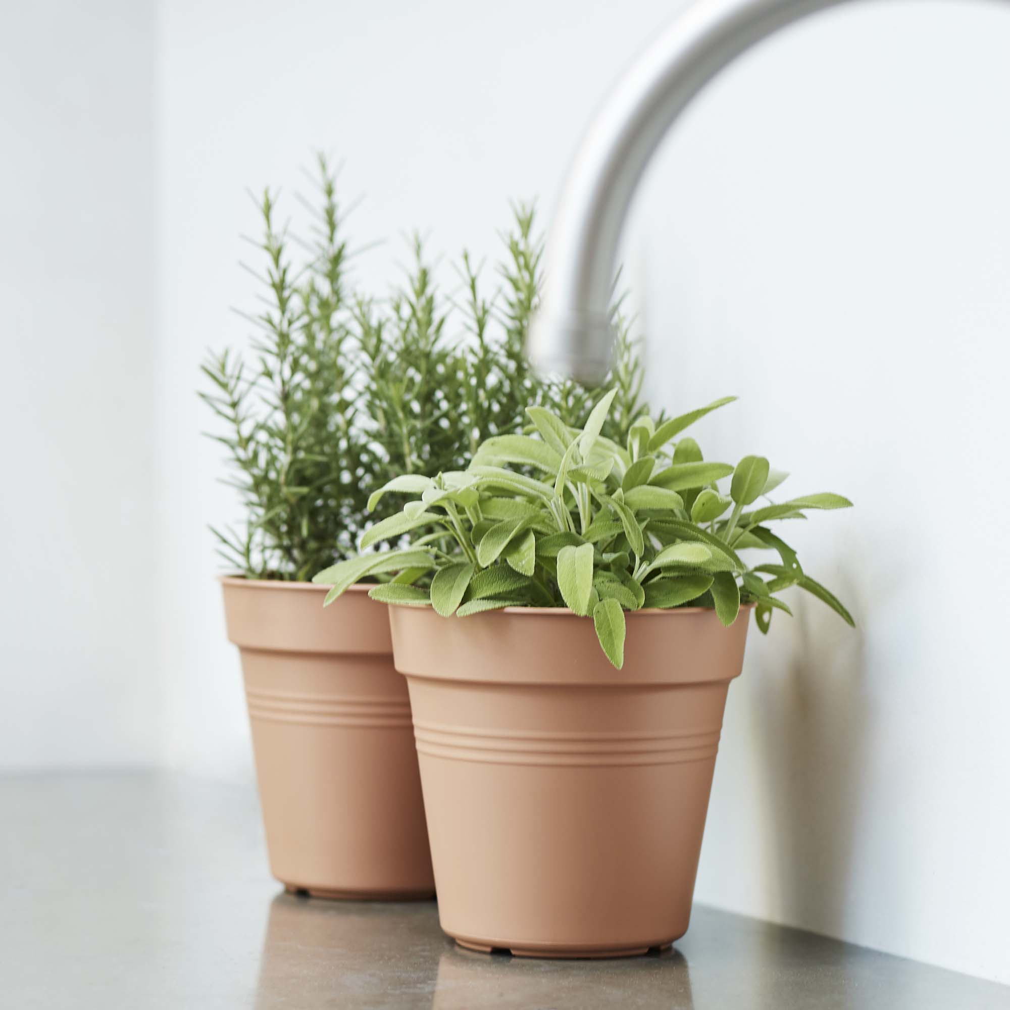 4252b6546b76ae75a5eac61f5eb892f3