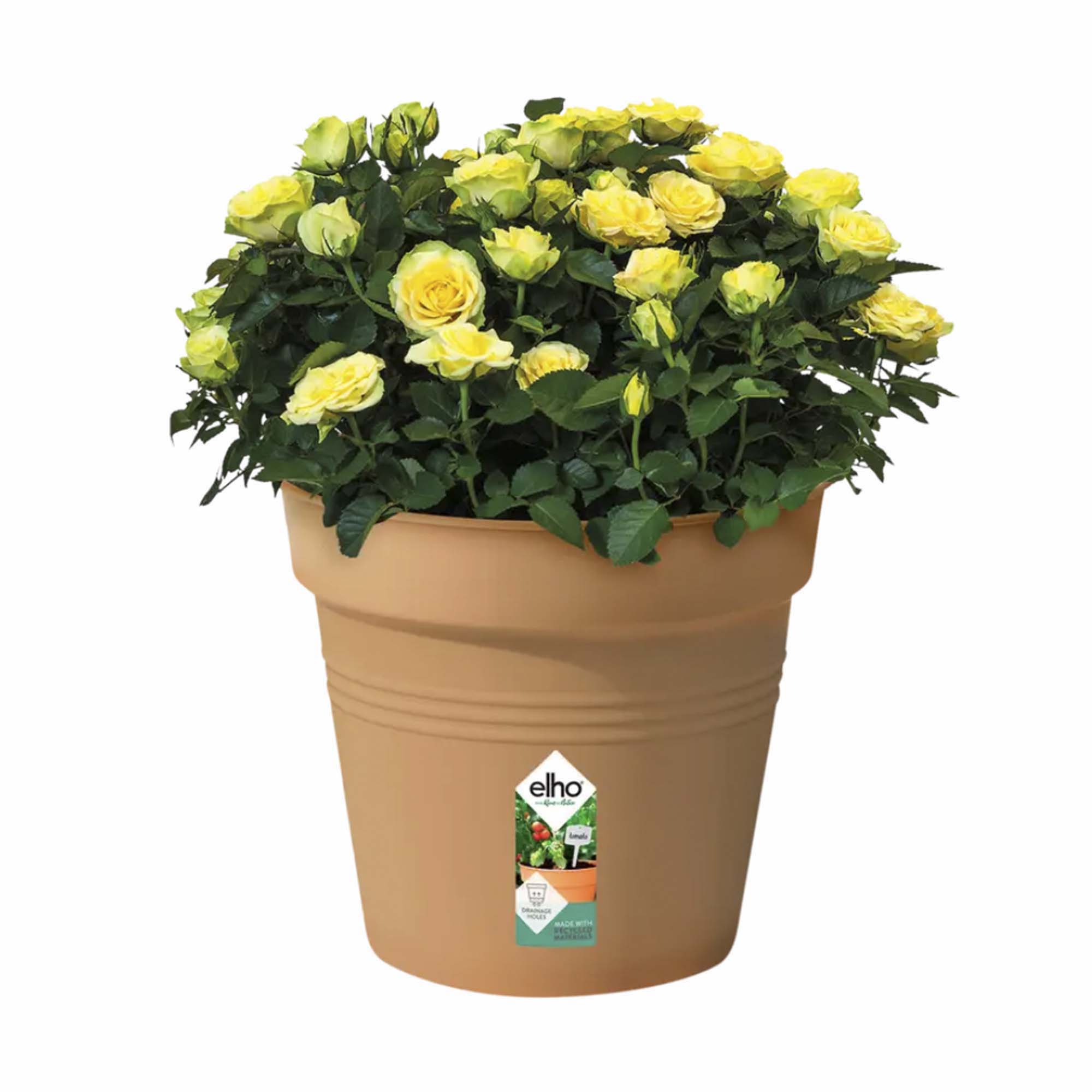 c897a95884e86db7c79d7e17f6cc18e6