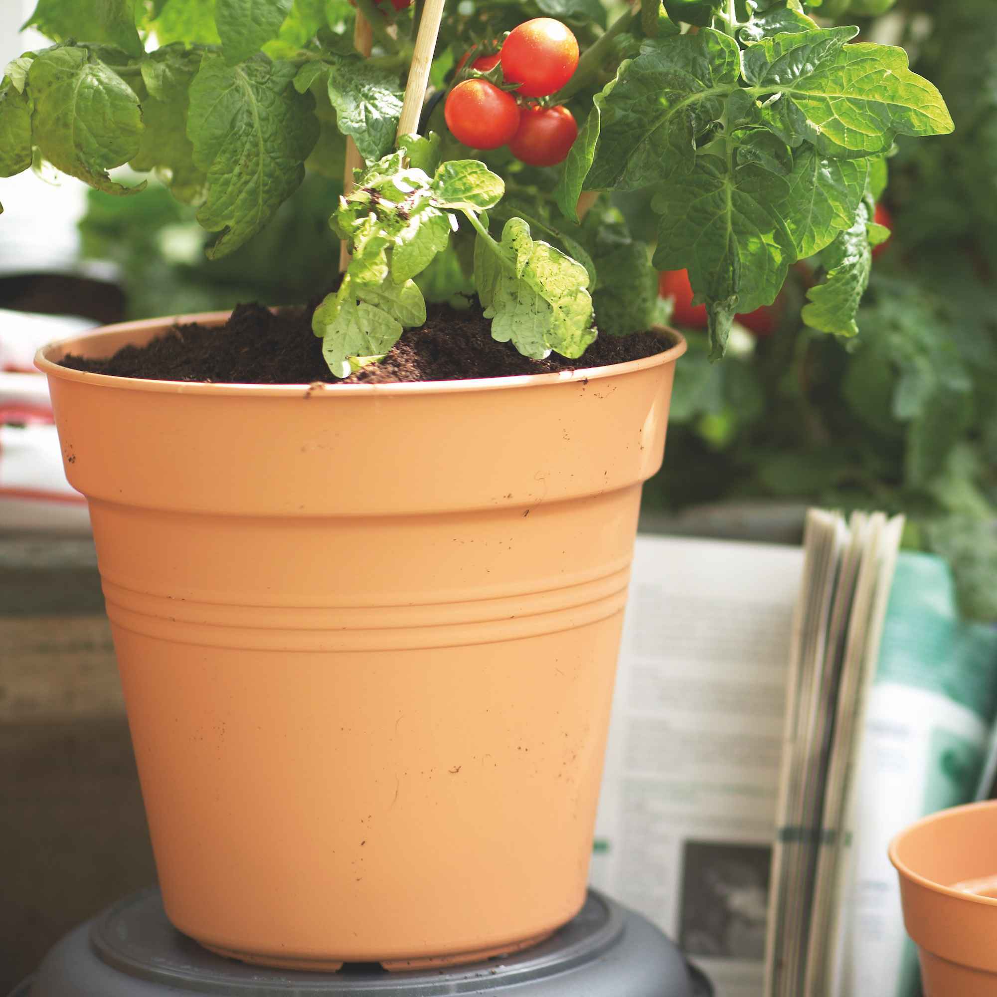 a3e48215934f5cc46a4878f46312dc5e