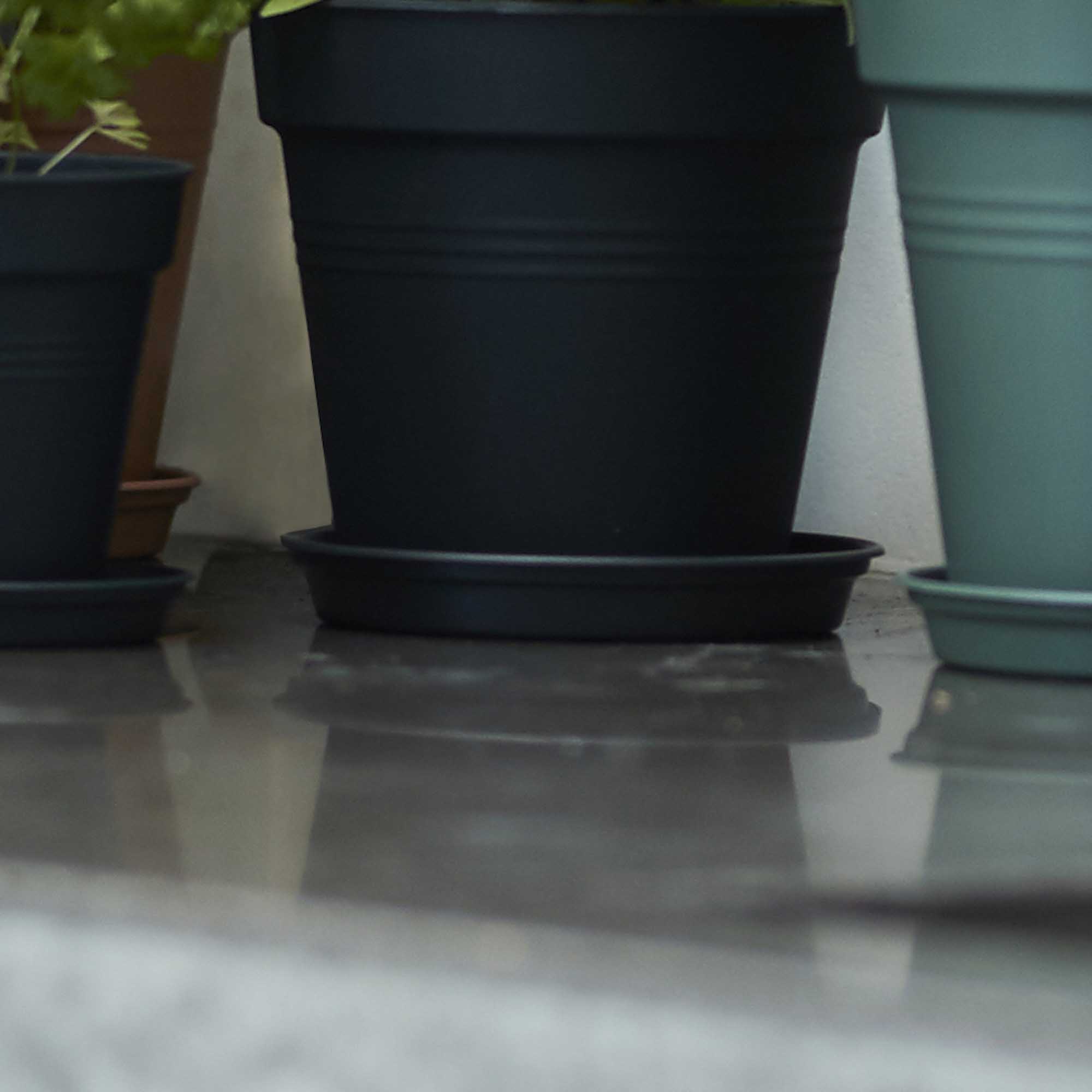 0eb651e240dd7b1e4fb9bd8c1f585572