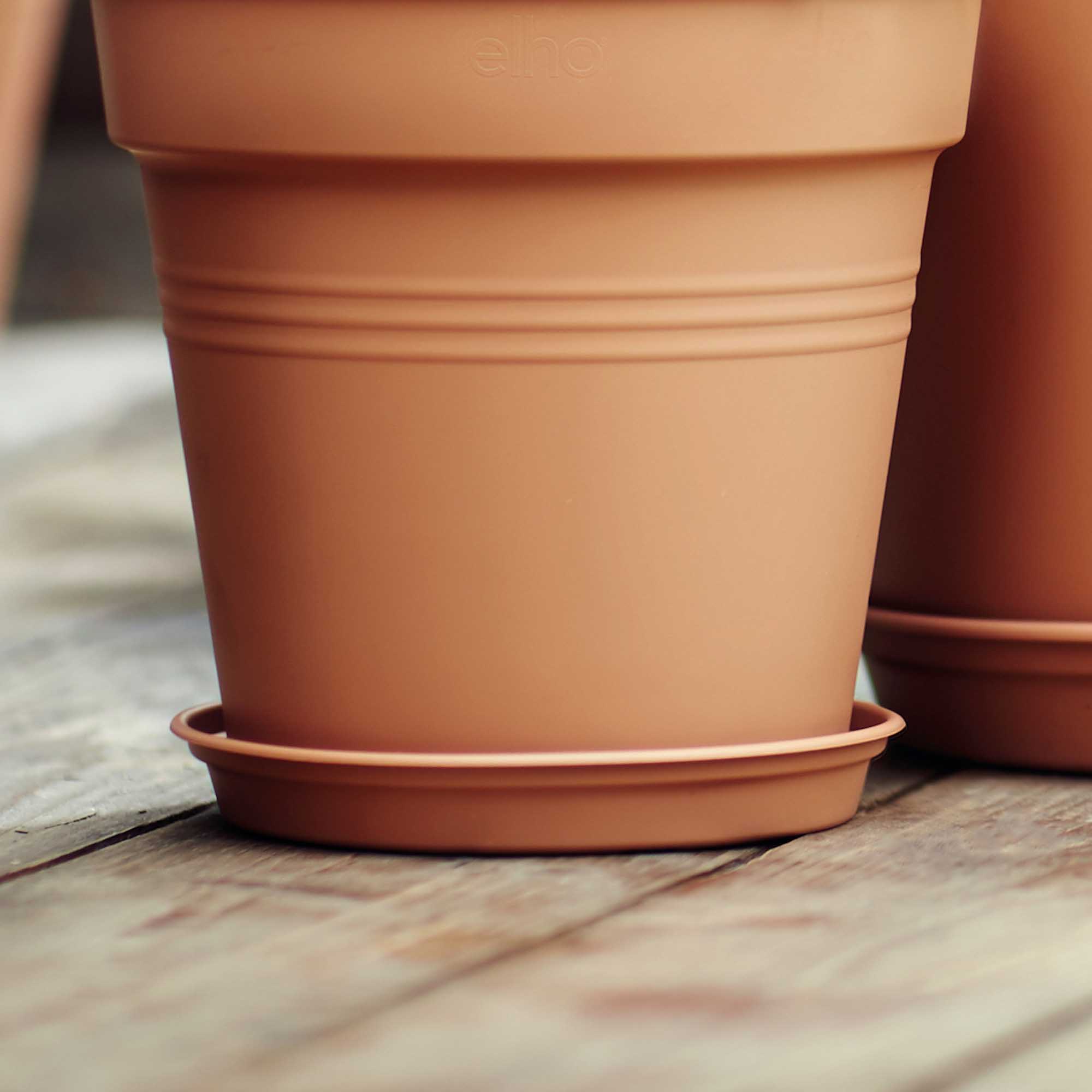 e1e62ec3fb8d082ac065972c041f8bd6