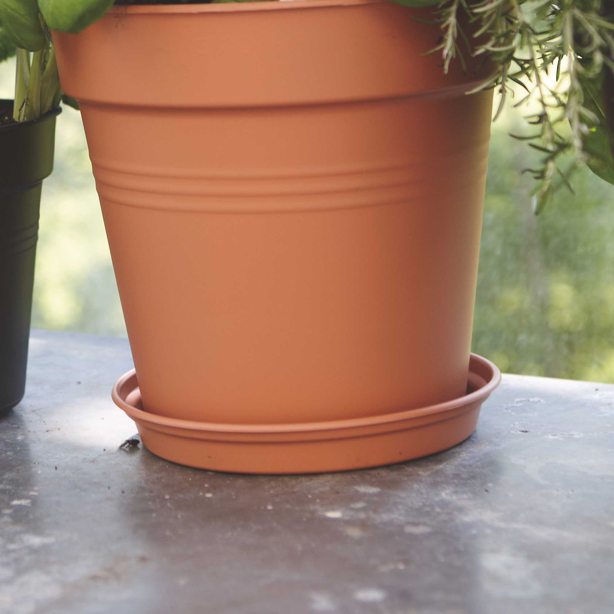 1f8a227f74924dd863454f712bfcdf64