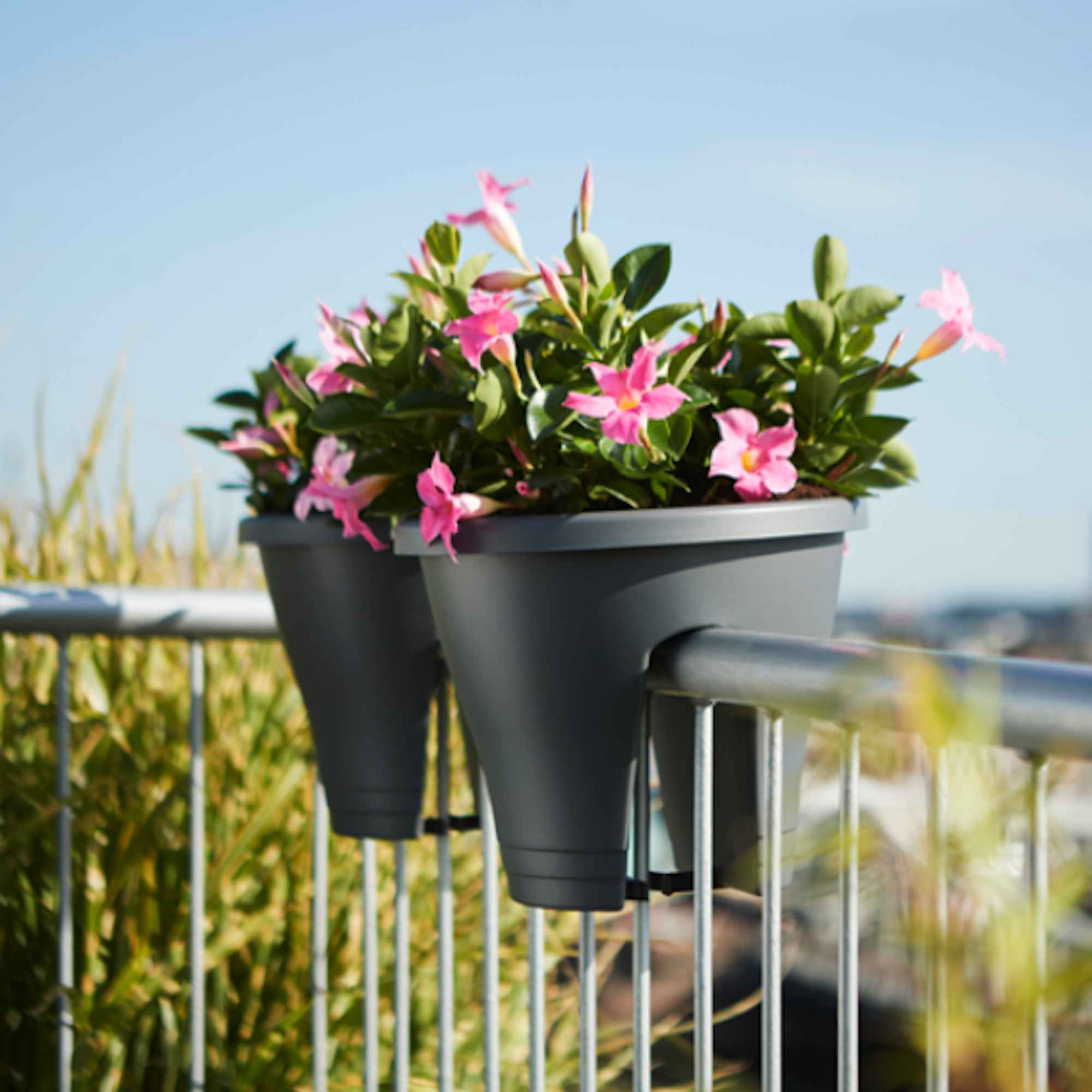 85c73282e77e810448c0289f9e82966c