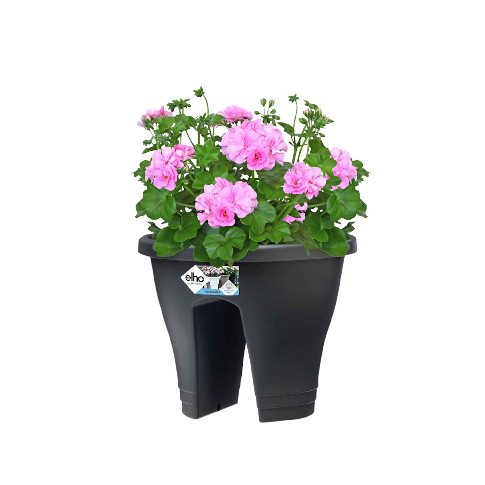 5c8204c57bd86f437c52676143eff67a