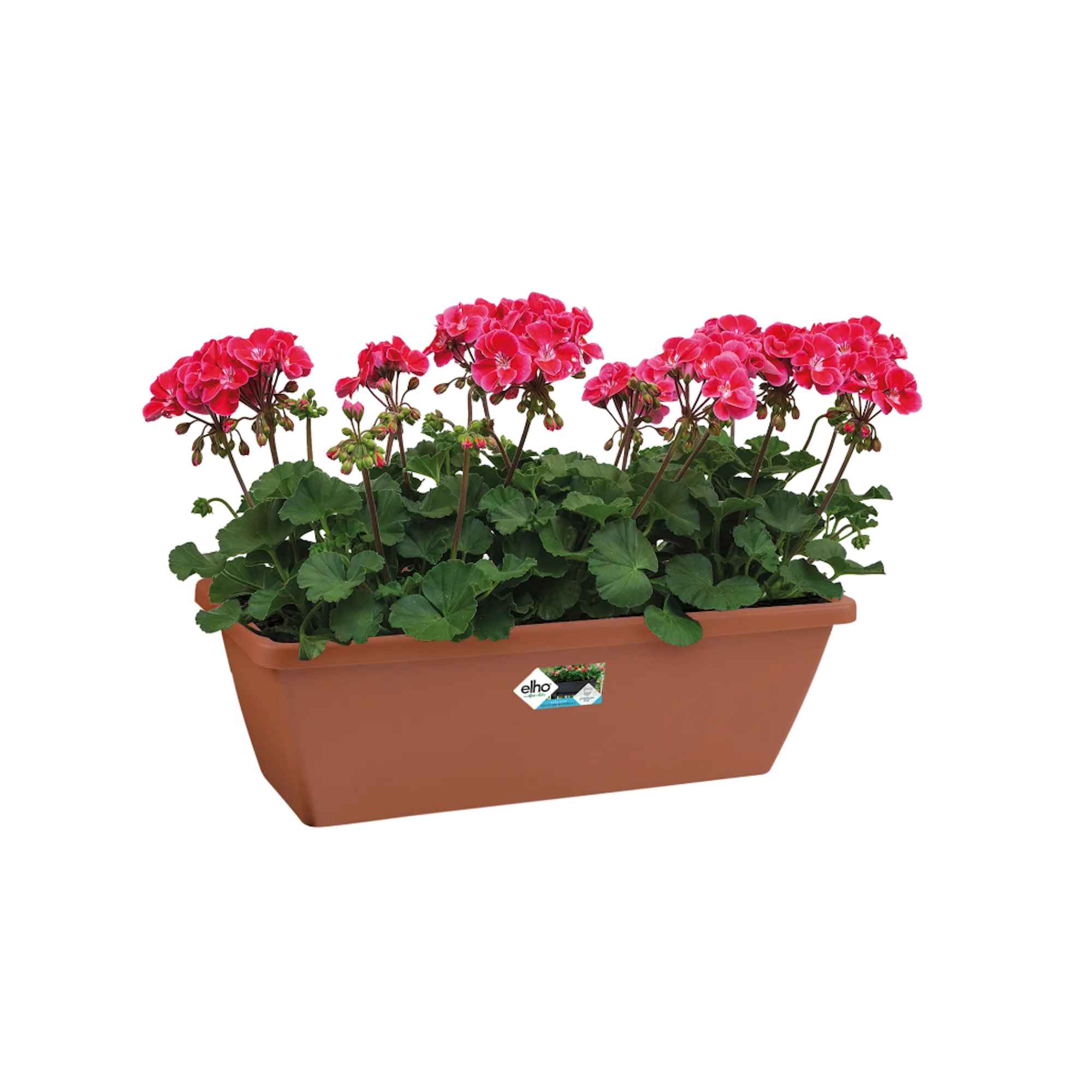 2283cbb3d69b4f38b0415a714cb9edcb