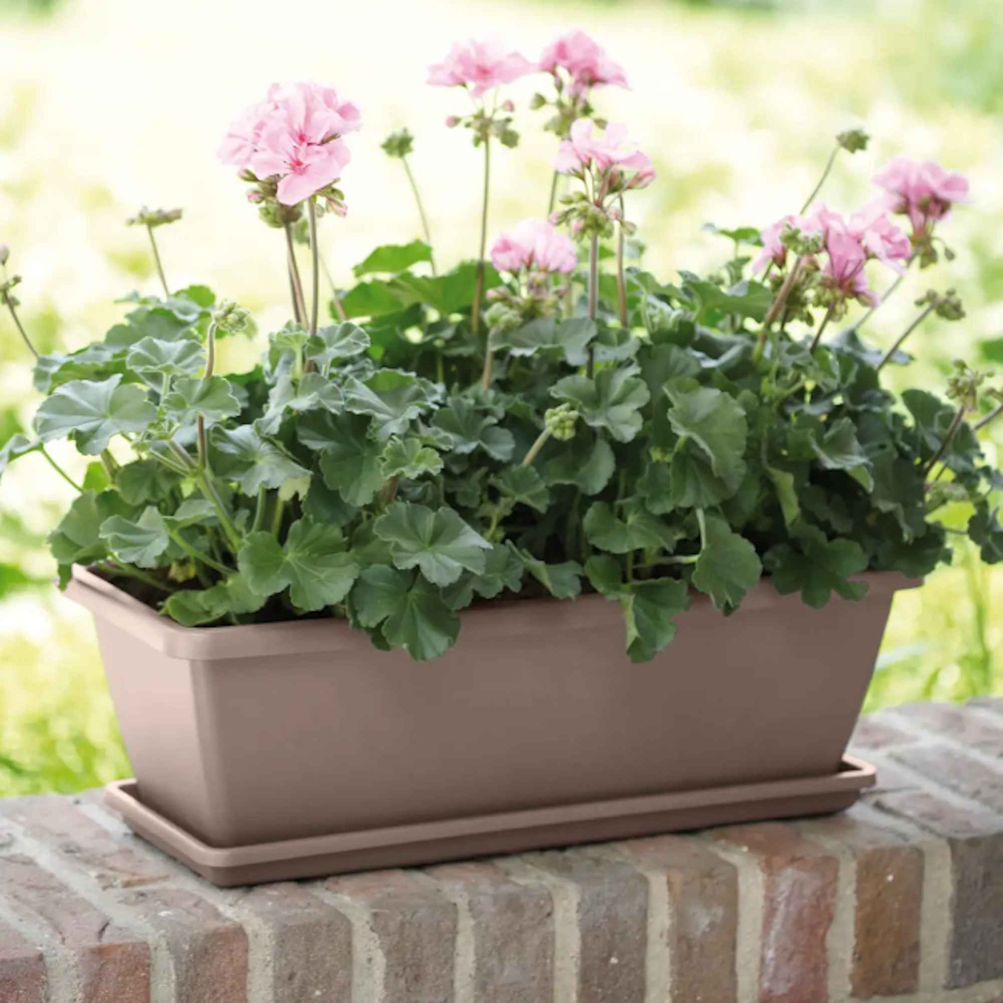 a20ee90ebde54a00a9fa5f0e46f39fbd