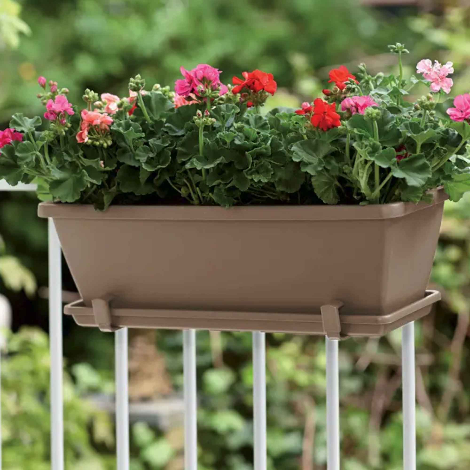 75d81e48c56e0d1bb530b4d9ea3edc0e