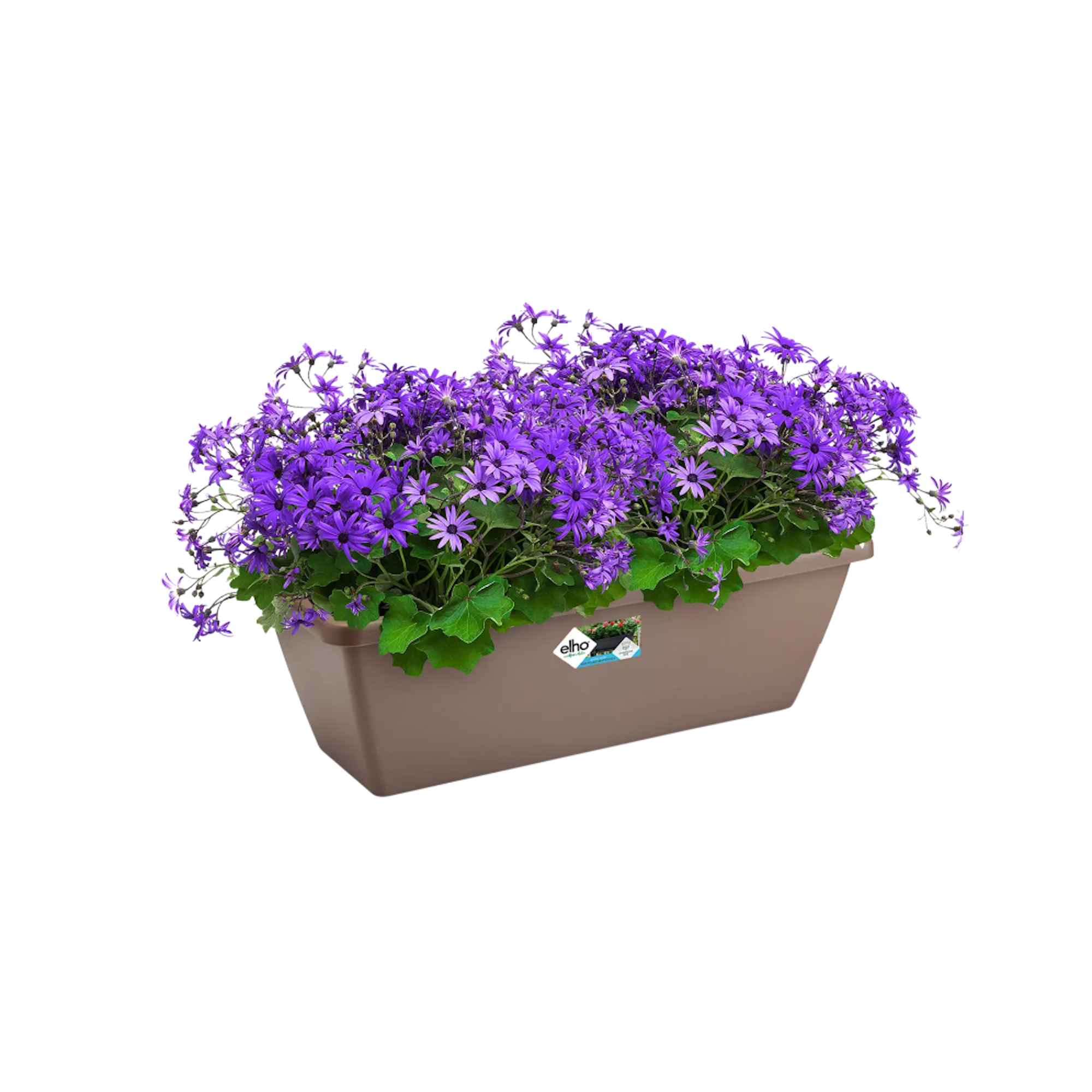 d203a0d009dd0a1d0c2df144dd45a8fc