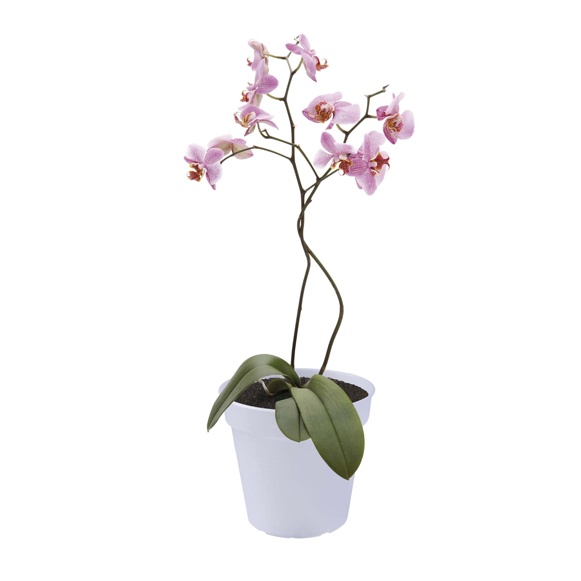 ce51876169a08280b558eab263a63235