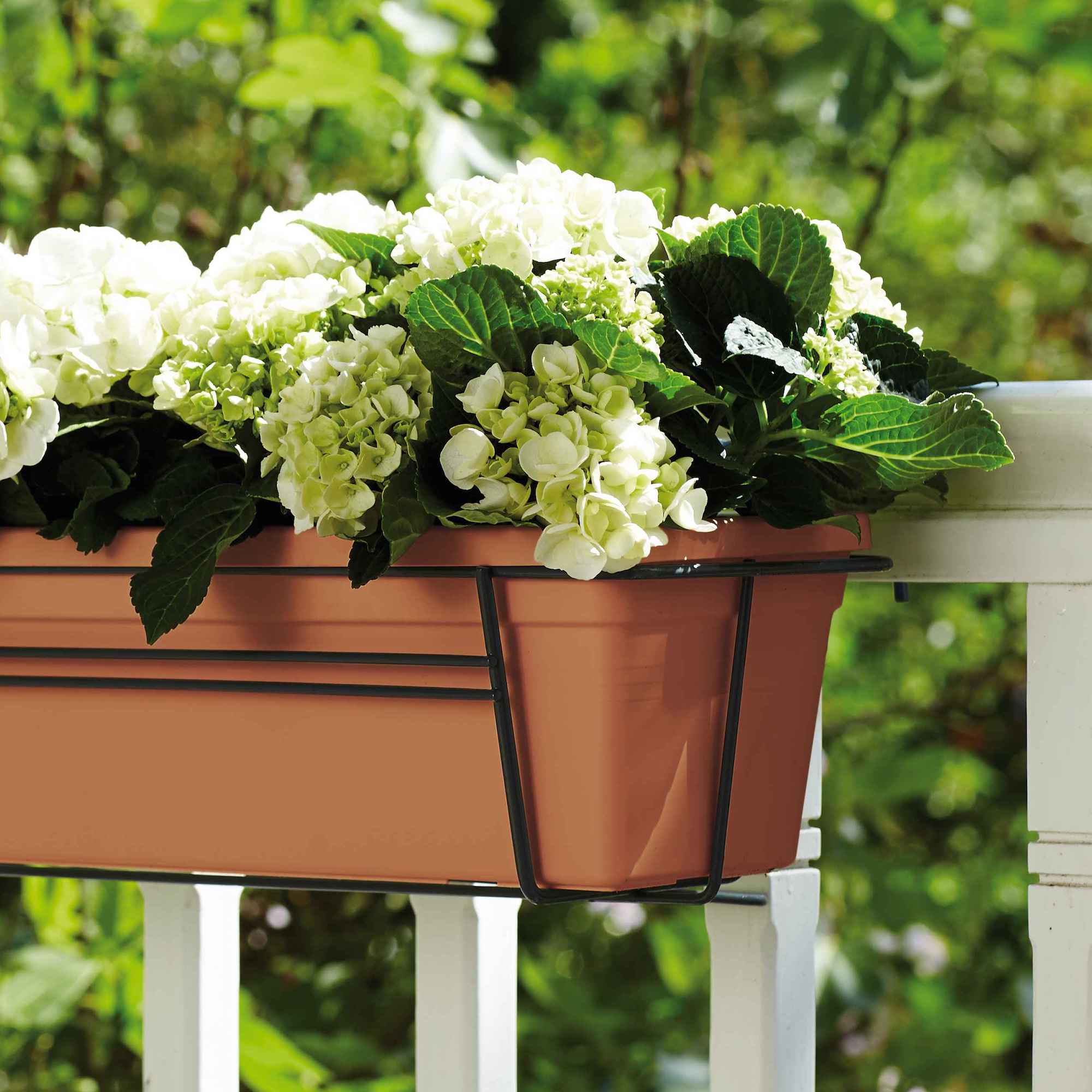 bf5a0dfce05f3d39f66fb591cd437e21