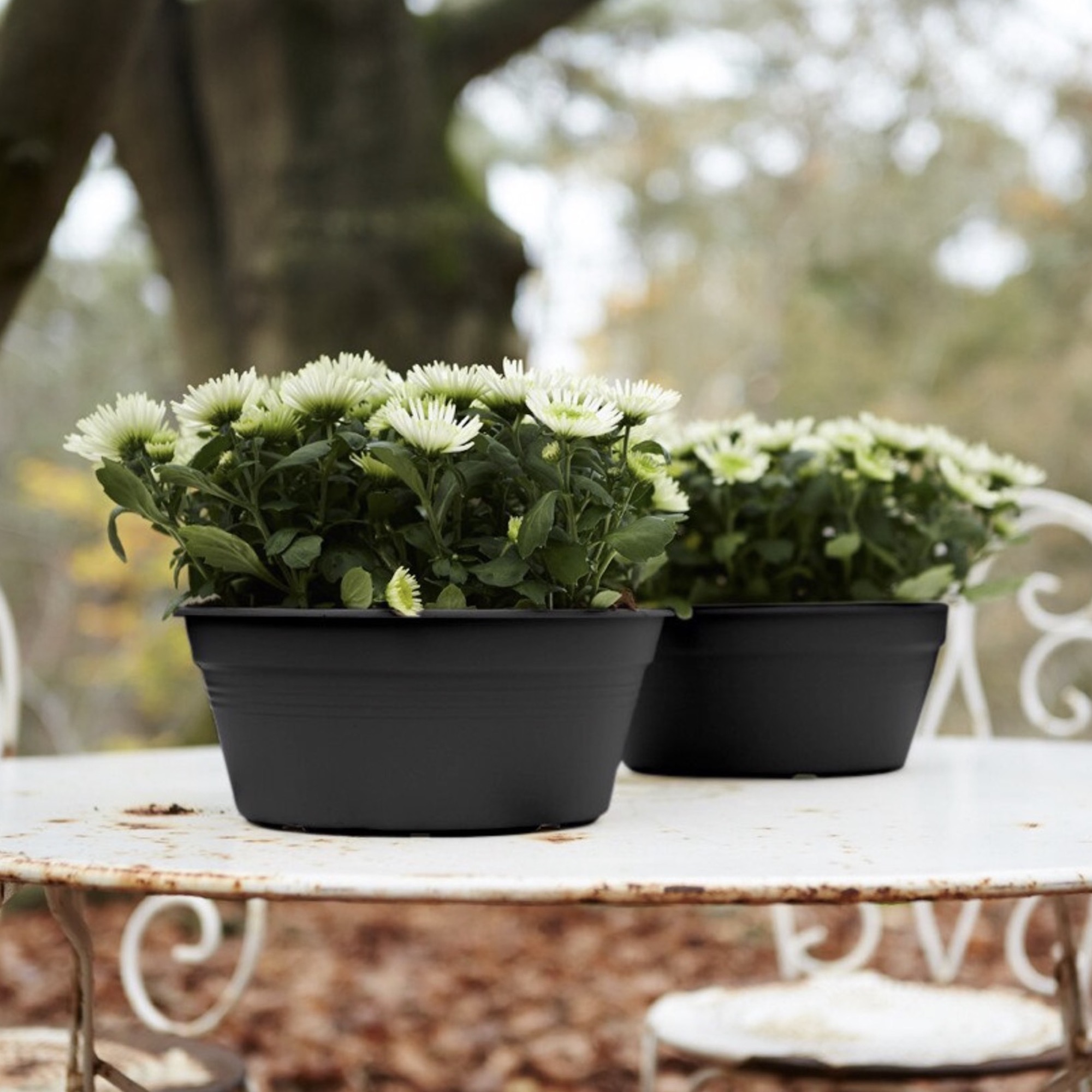 bc6a2d4c9c15d0763d3e79a959c0e37a