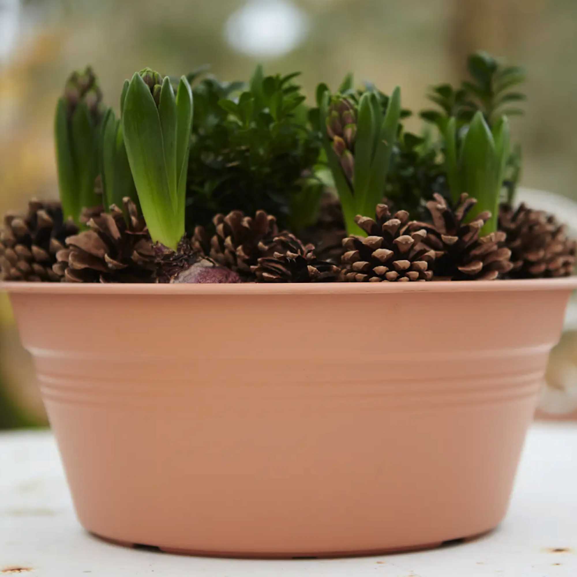 01961ede9f030a66d8d29f04b2d6564a