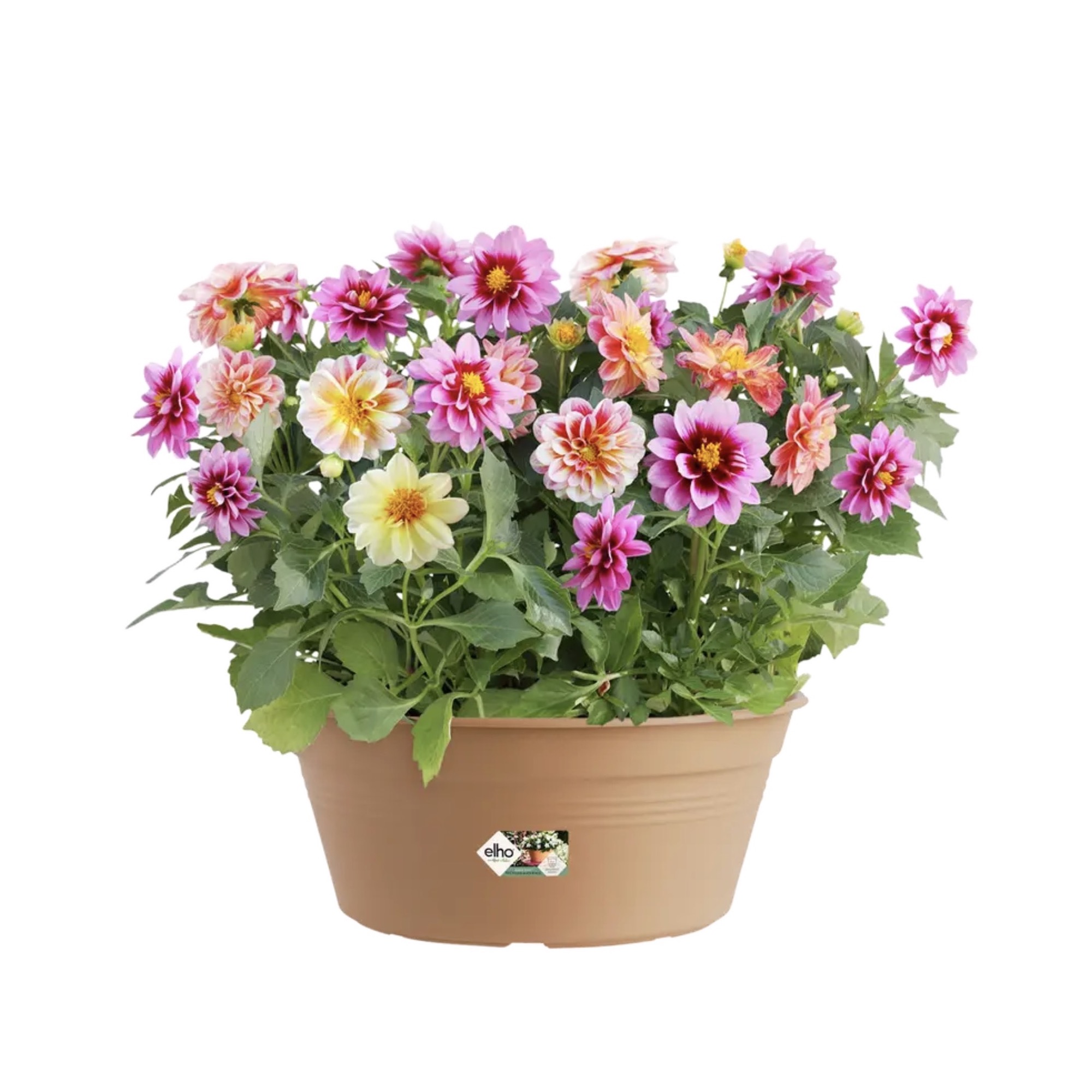 8dad945ff7028bbba357906632c26704