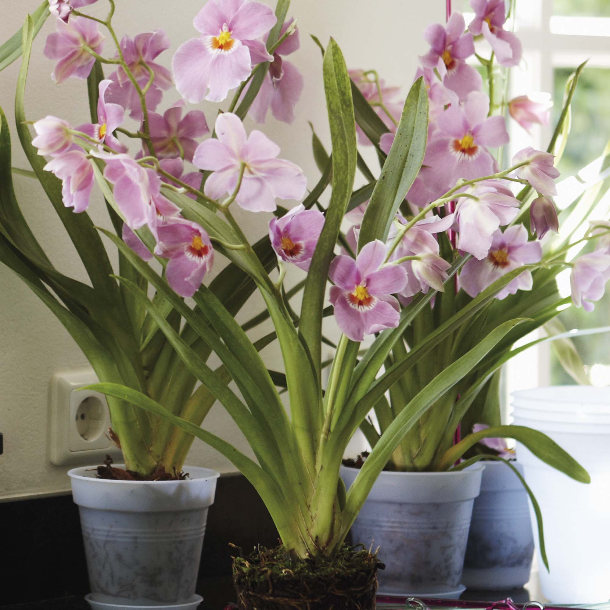 862749a809b6f154e7cc3d7b58103a62