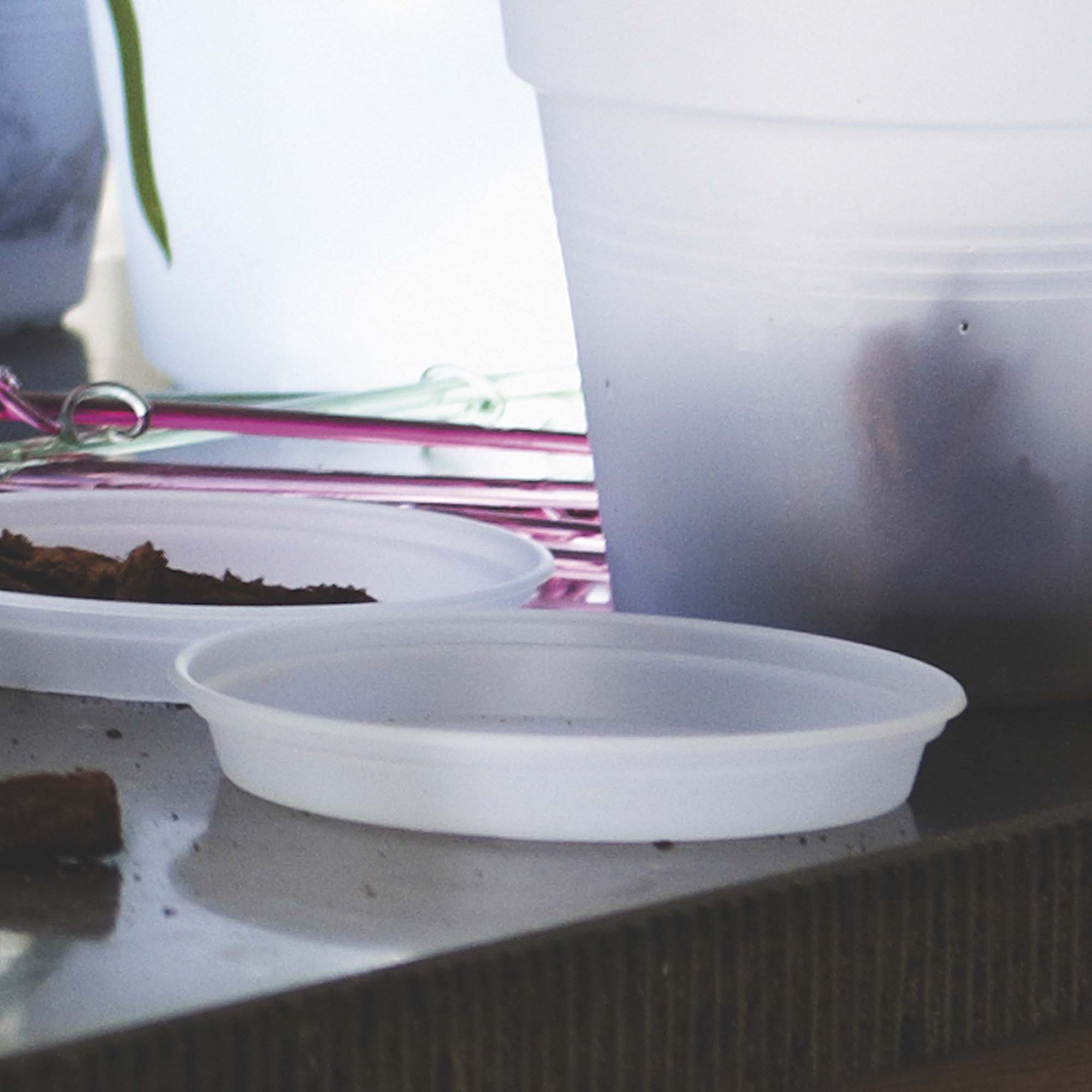 7f1bd8d7006a64d3ae841314c28f2aa4