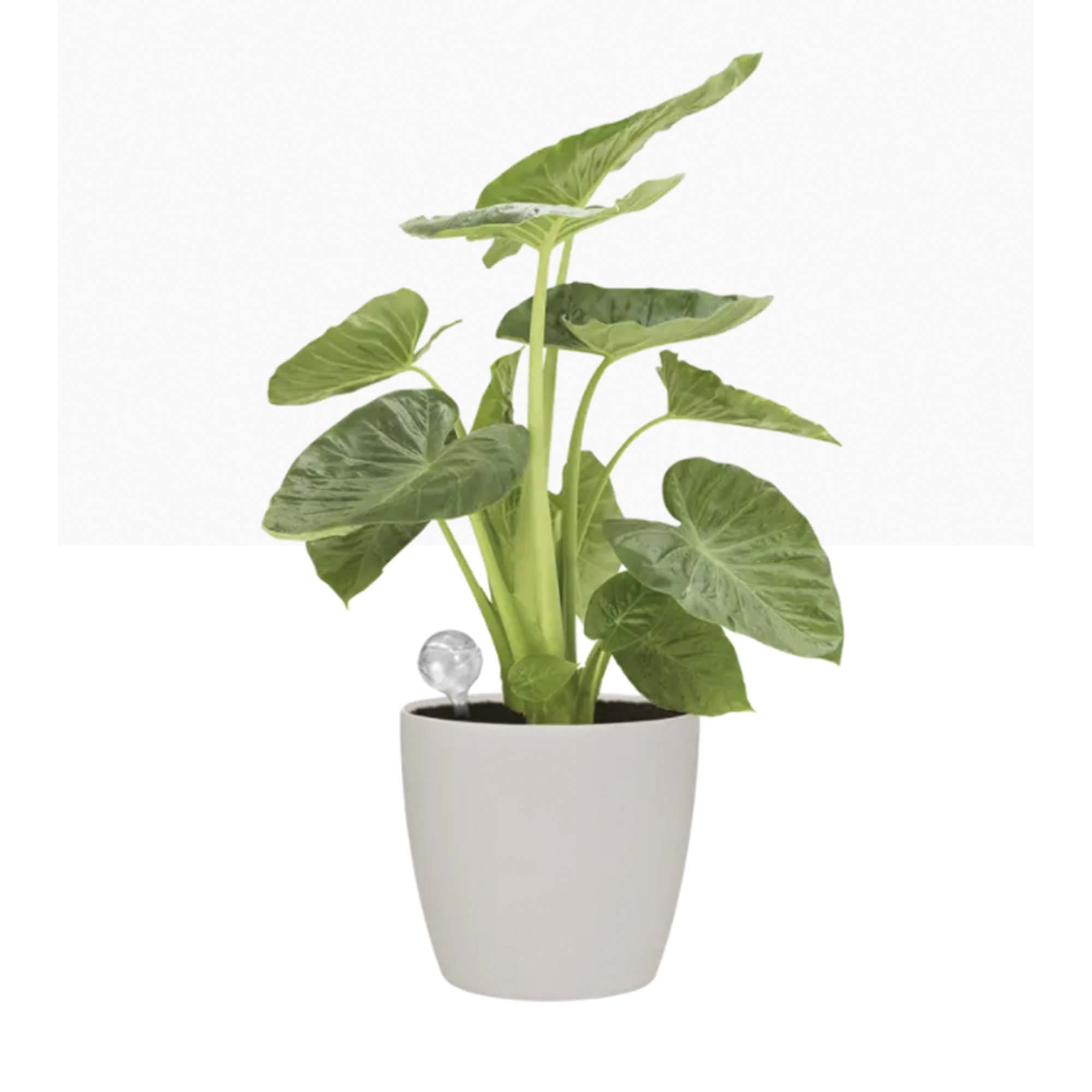 88b085560edcc83a2ae4526c8fee0f08