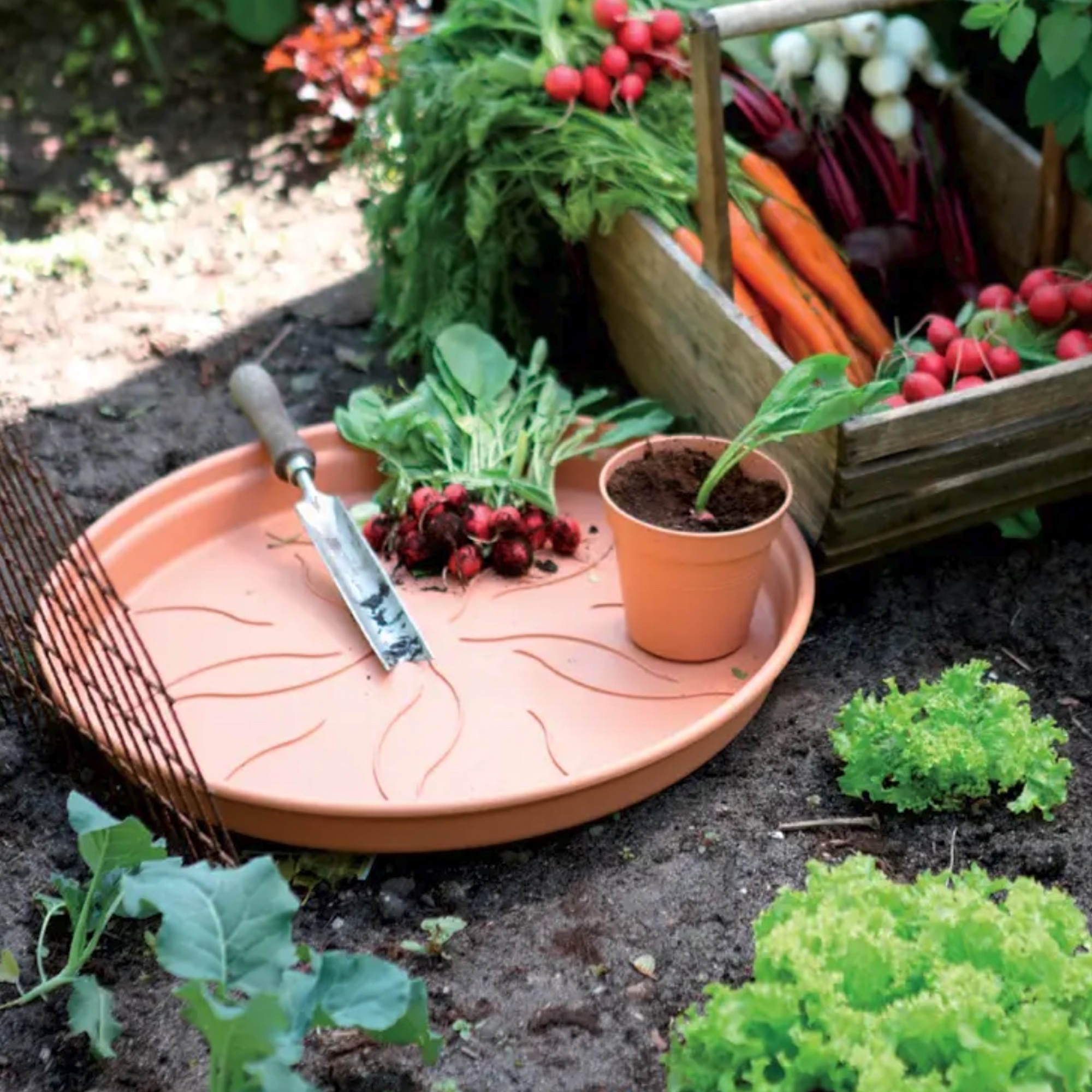 f5448f9309a1d2015a7b60b2a3252027