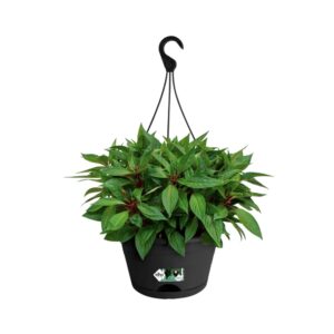 6f9e68d14f067fbee3b60949838cd467