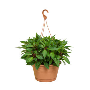 0354a51c1776dccfaf85a18193625f92