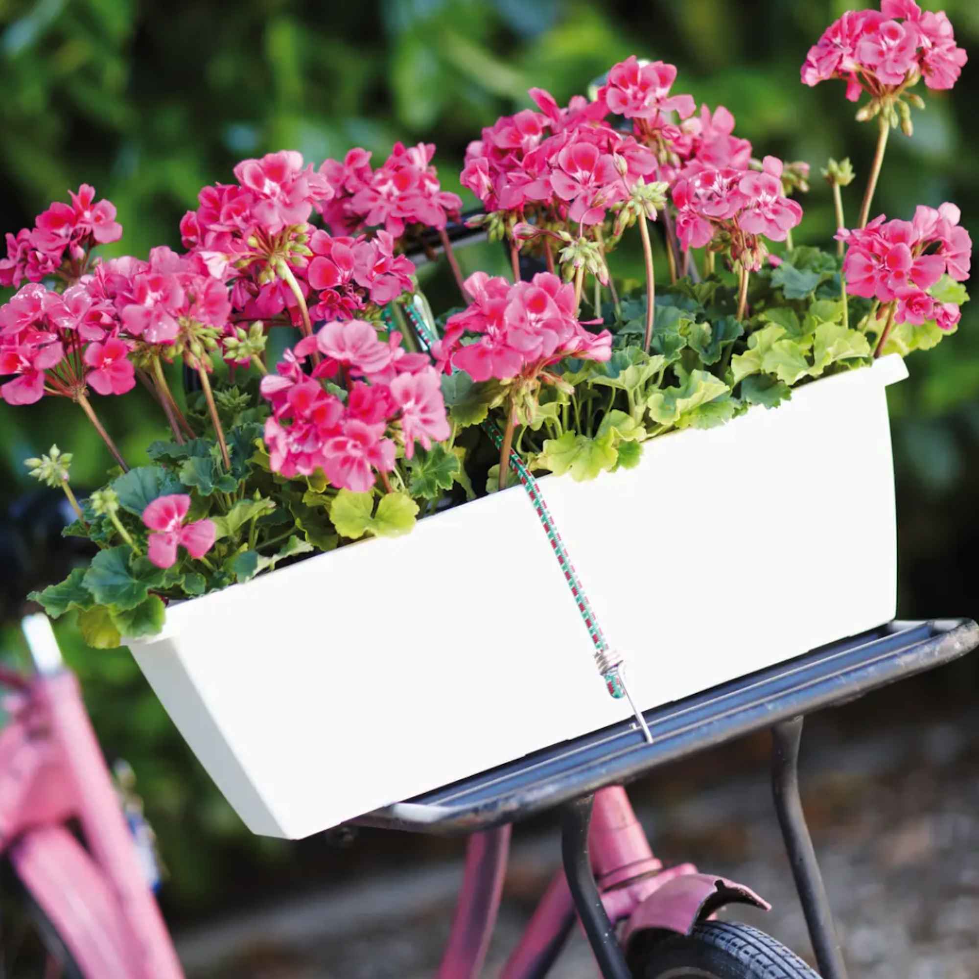 77154b0862acb8c717c6644cb8060eae