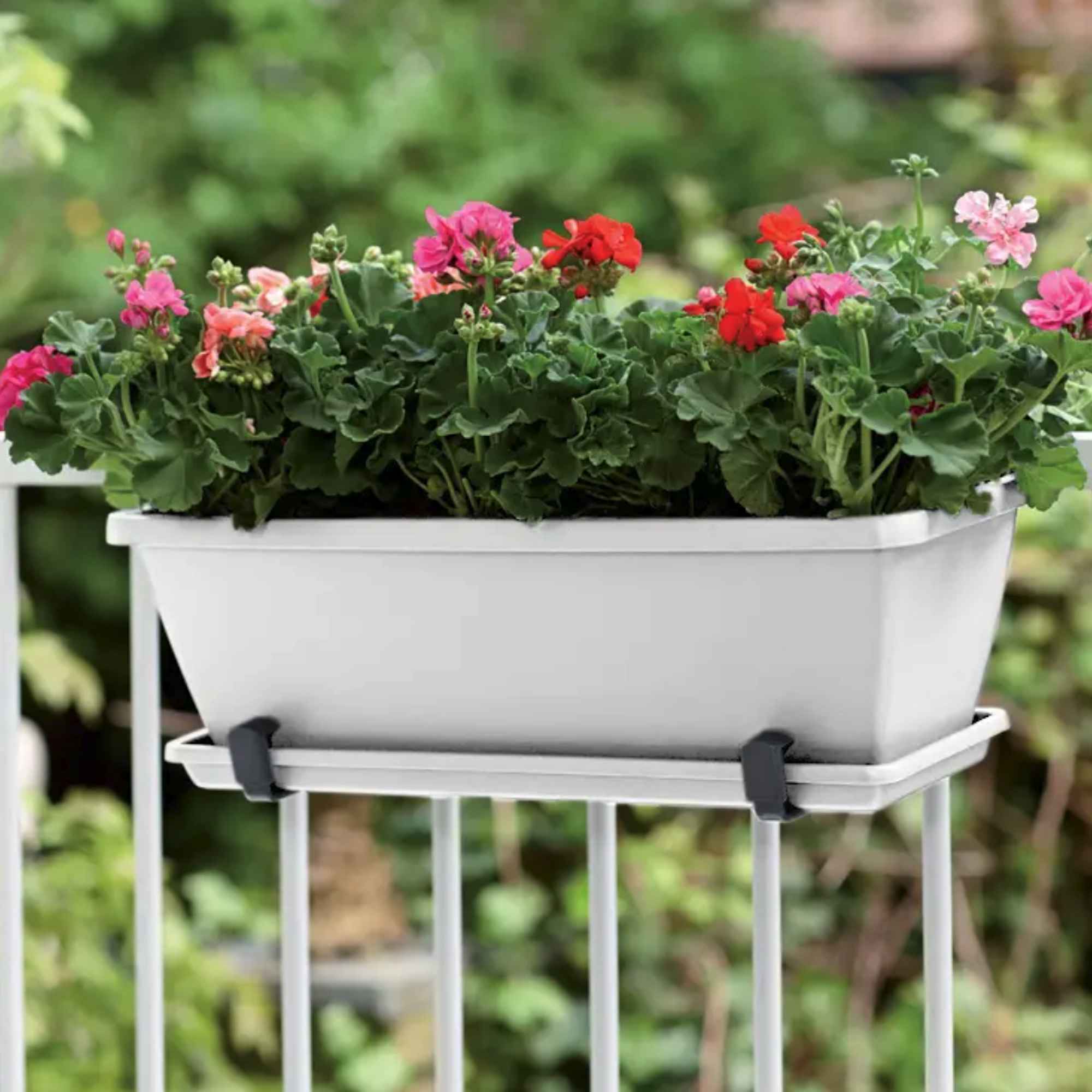 17f645ed1111cd995ca8ec720f364af3