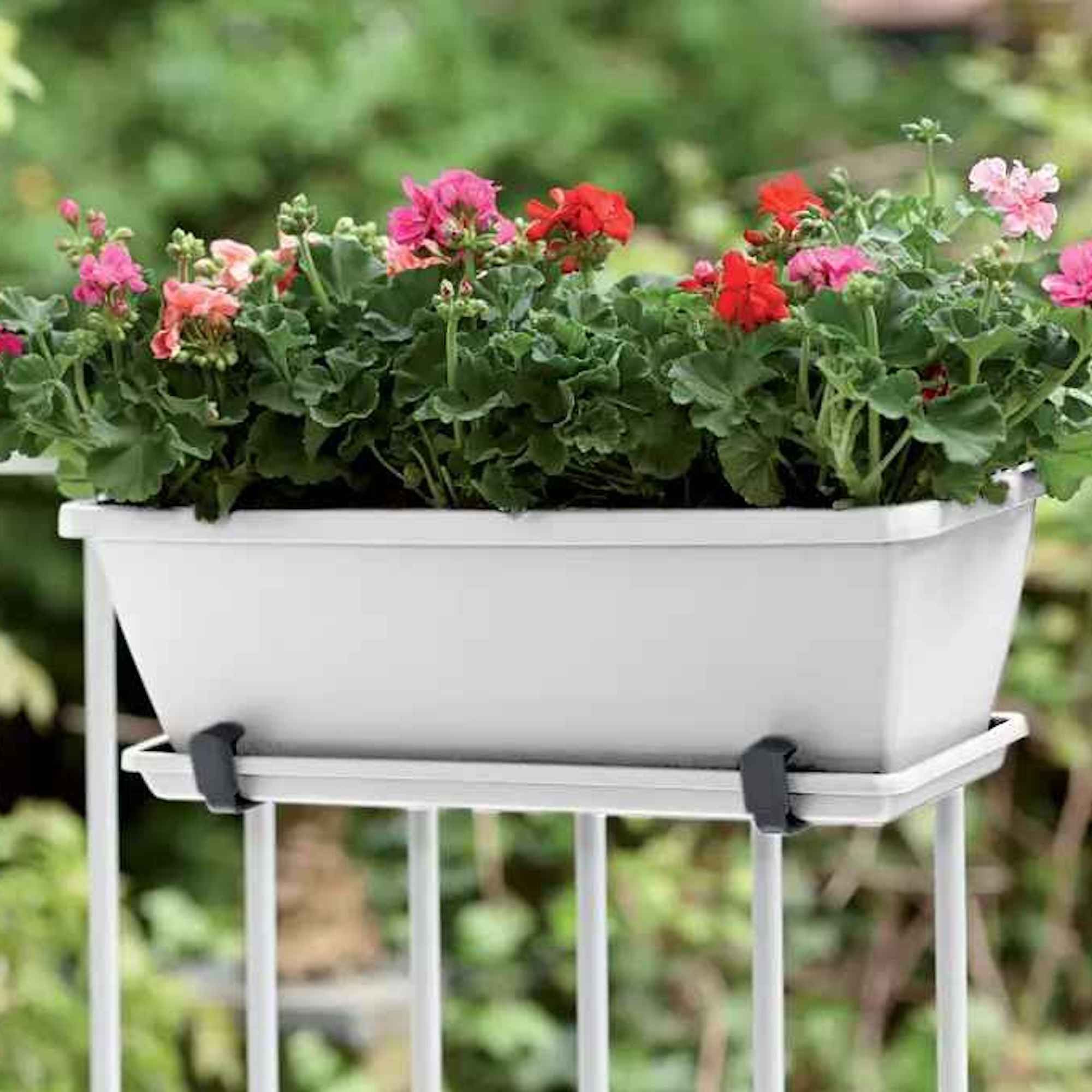 cd8a8e7b9bb95e600e5de86eda38d16c