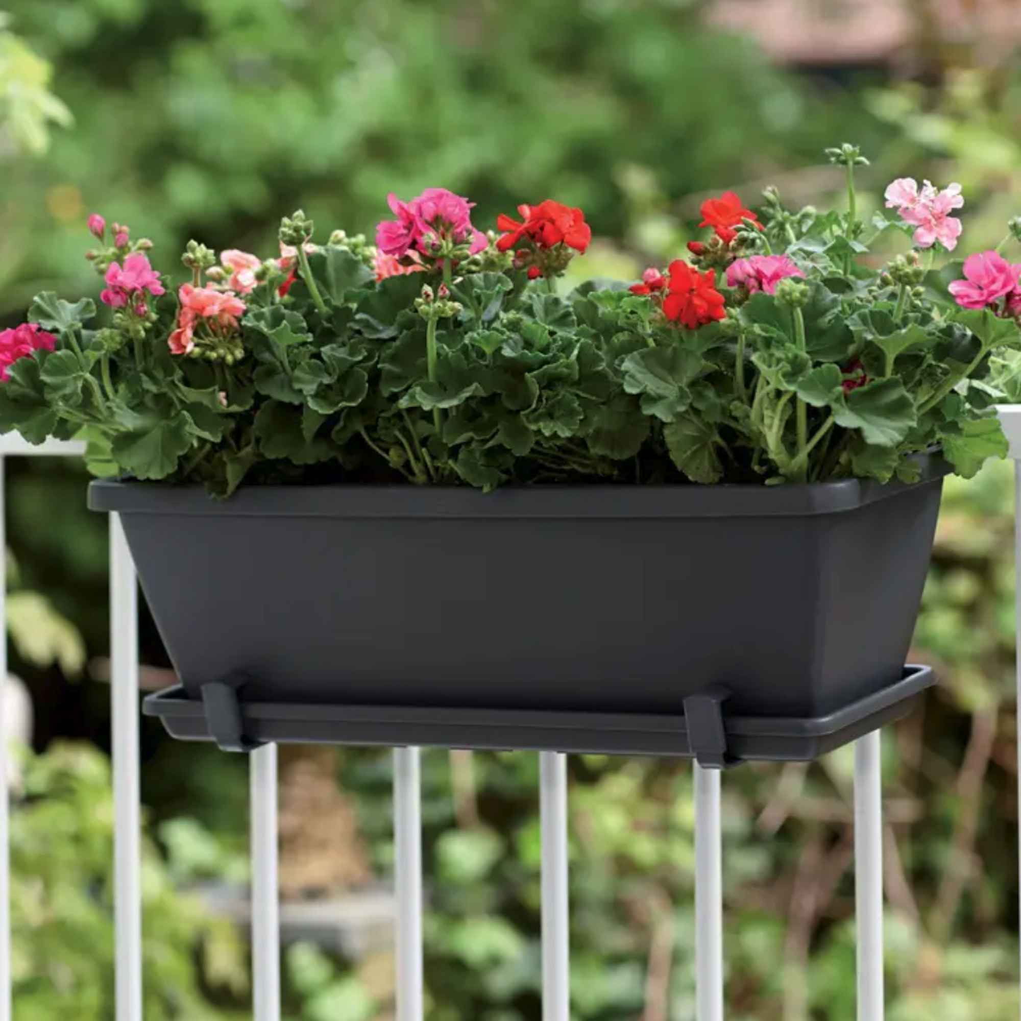 a83a04f9865933ce28323dcbc7289ec4