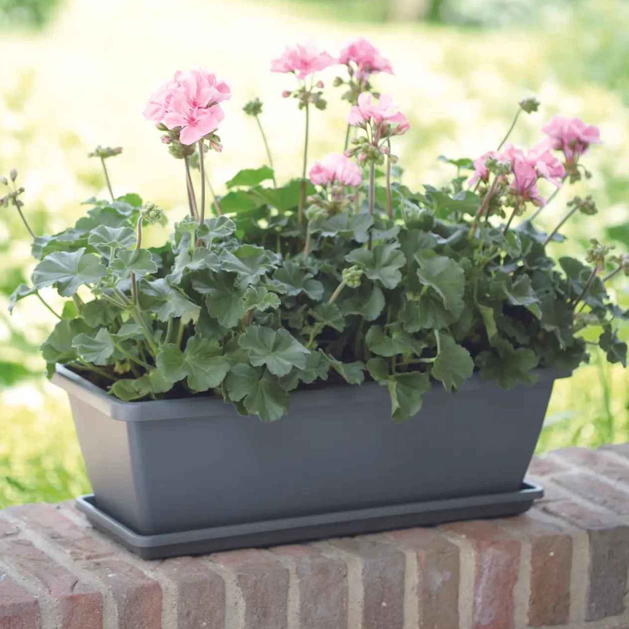 62d320138da5a63f7654f9188b30c97e