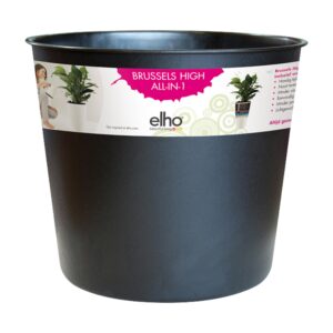 74620c4647162cd772d4bf951d1a33ff