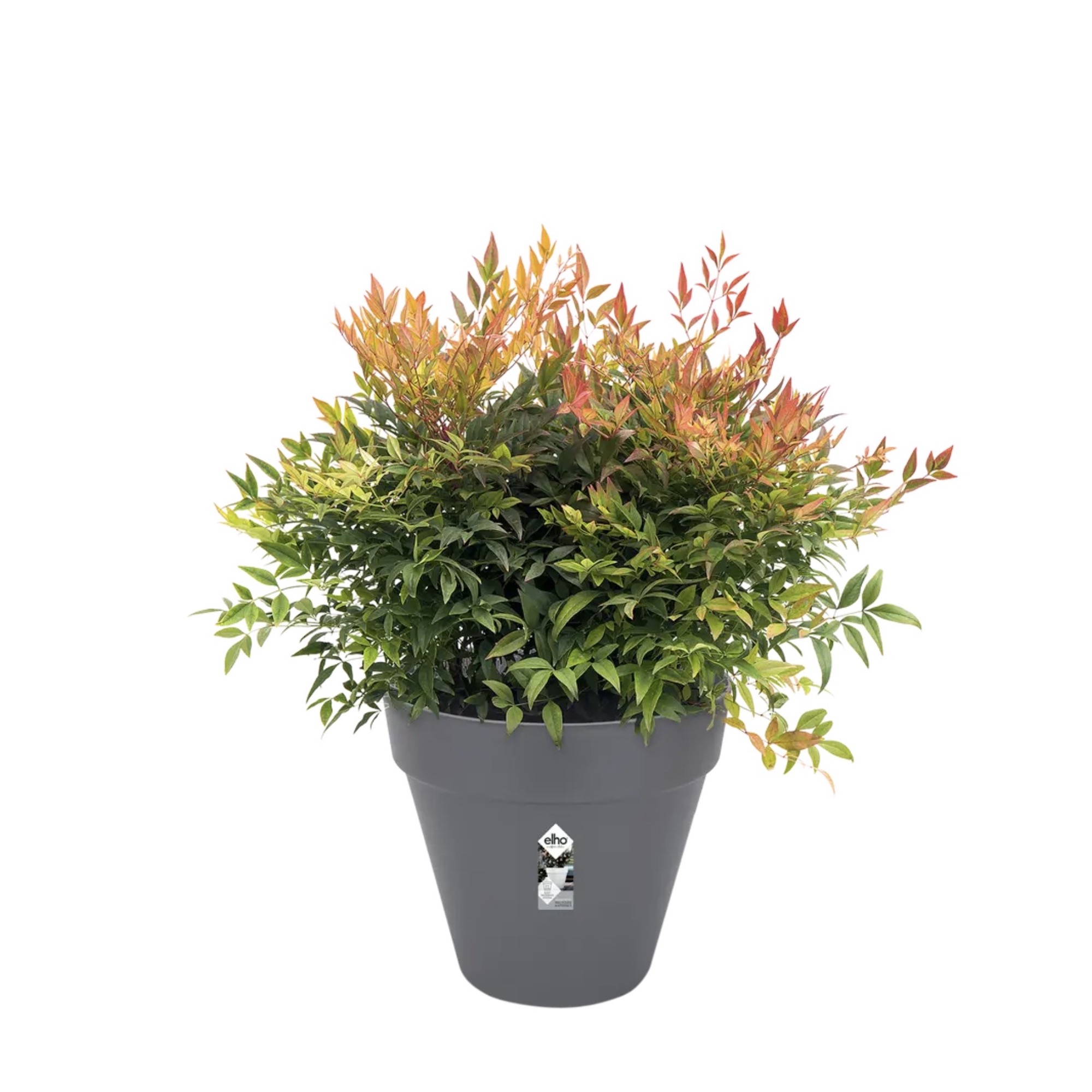 3a19a15cb5ab9fc0dbf6632528d1777a