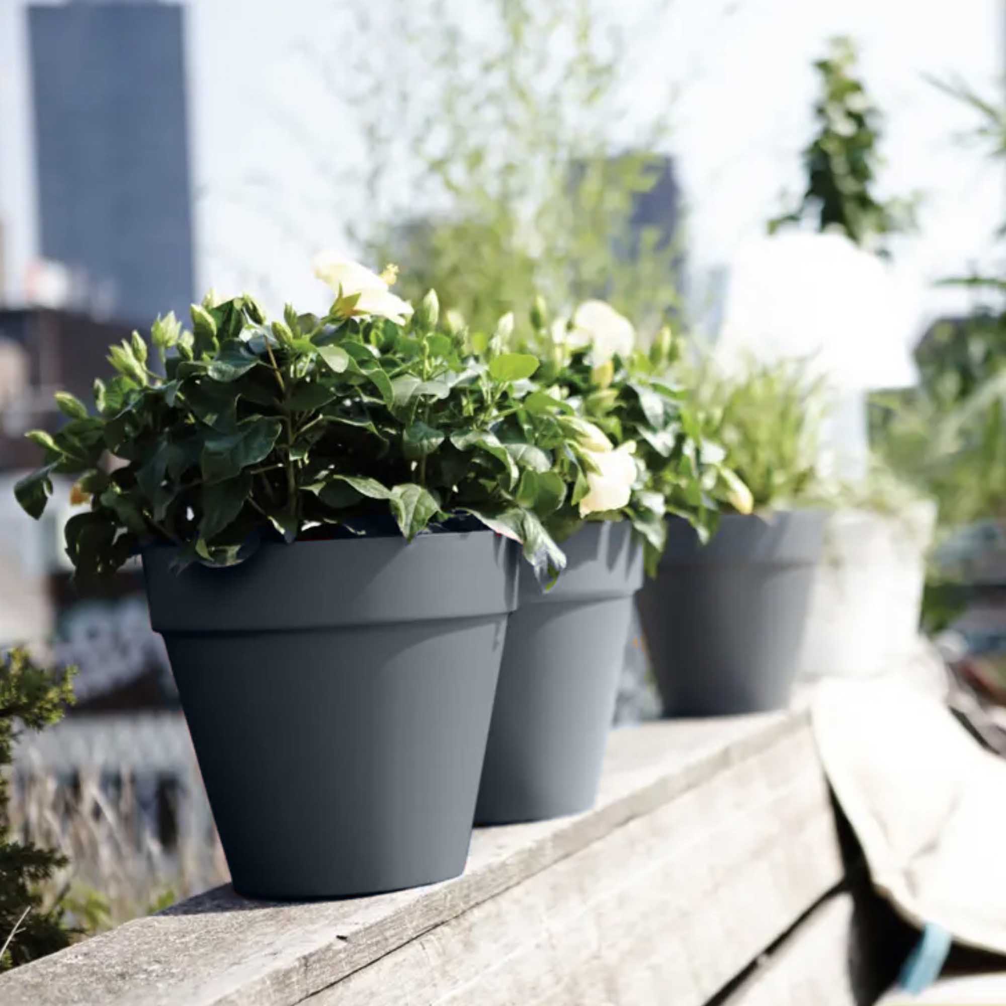 5ded3de73b57e215b17c73b58d124957