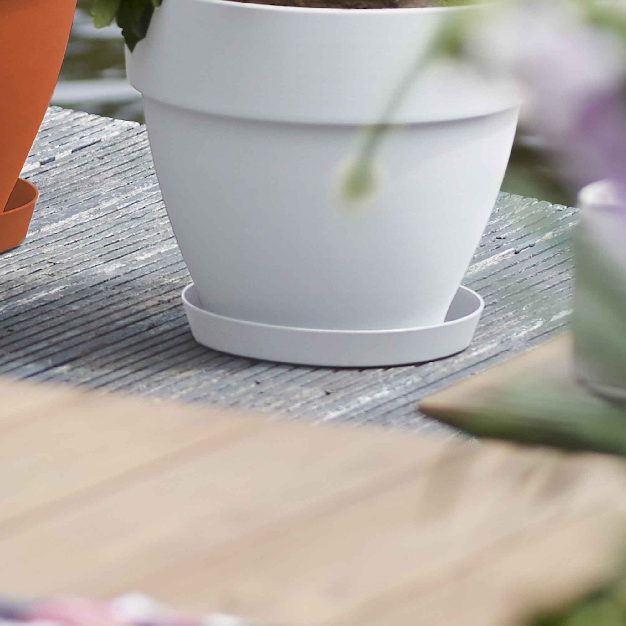 31116432bf03a44cf7818531daceb48d