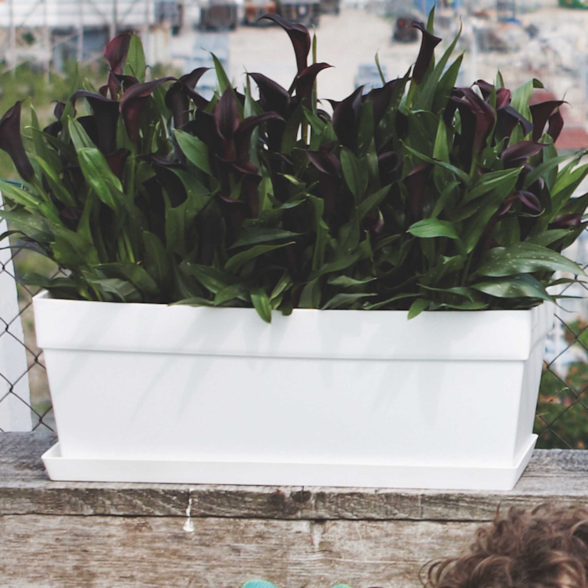 f5e4d84689f4164a767e75aed3f30417