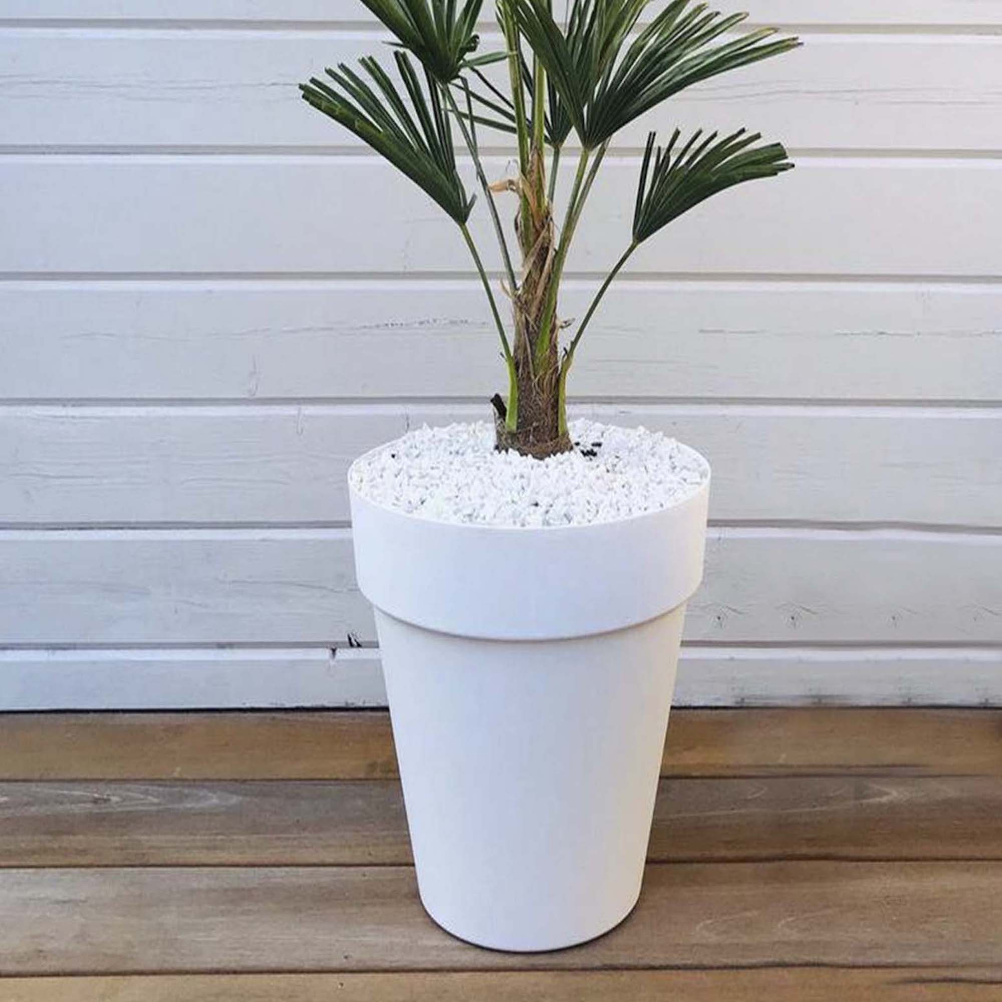 207f97bf8295f763c271f7bdf74c89c1