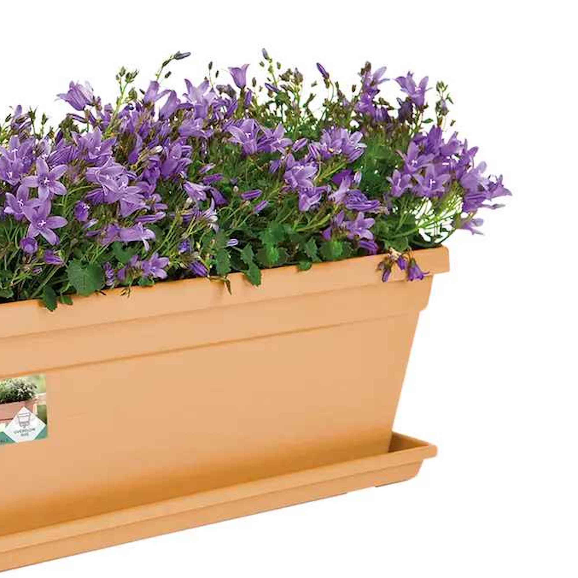 cc3acbb21b3e66218dfb2f1f4f0ce51b