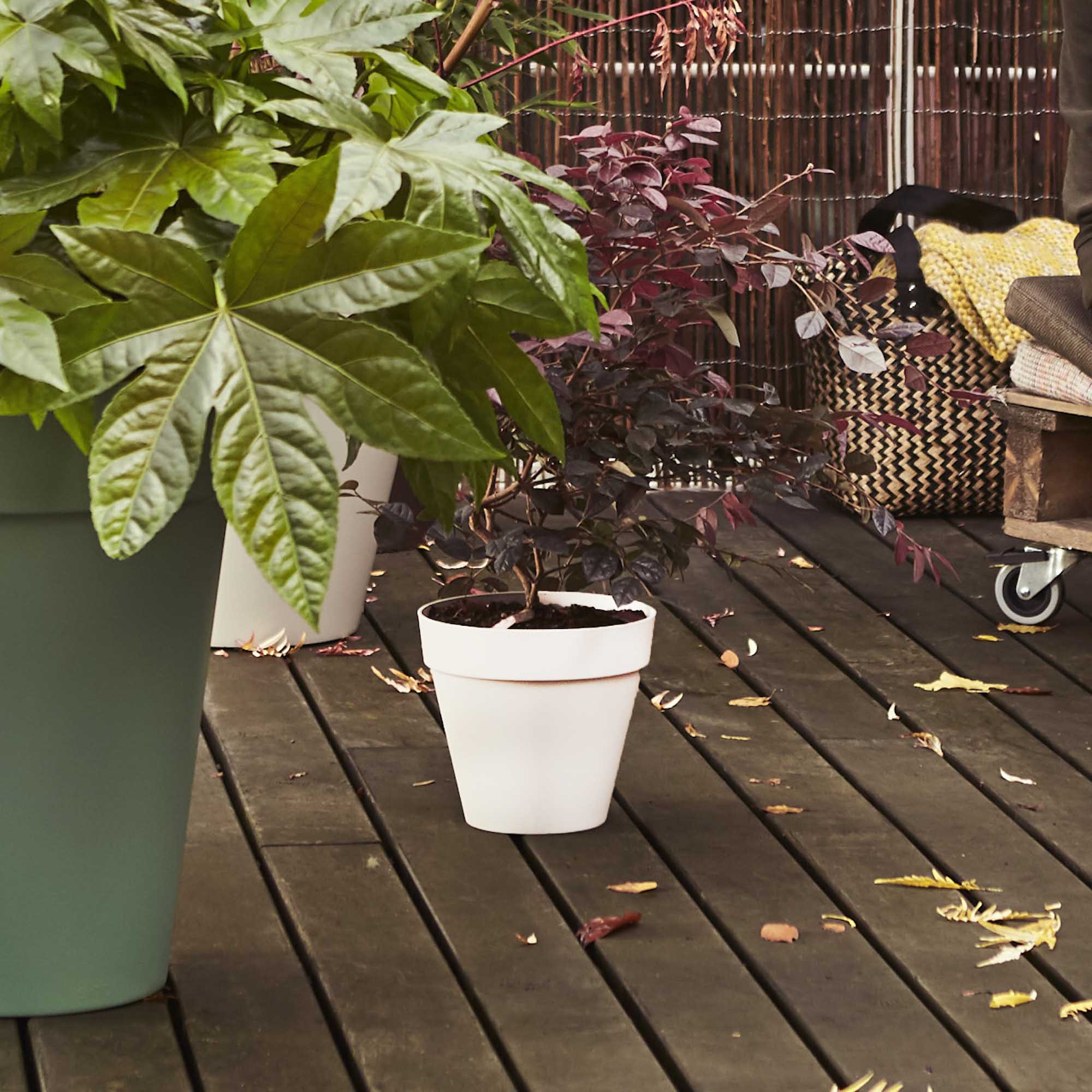 9ccc541c9511702f3f5252c6ee17545c