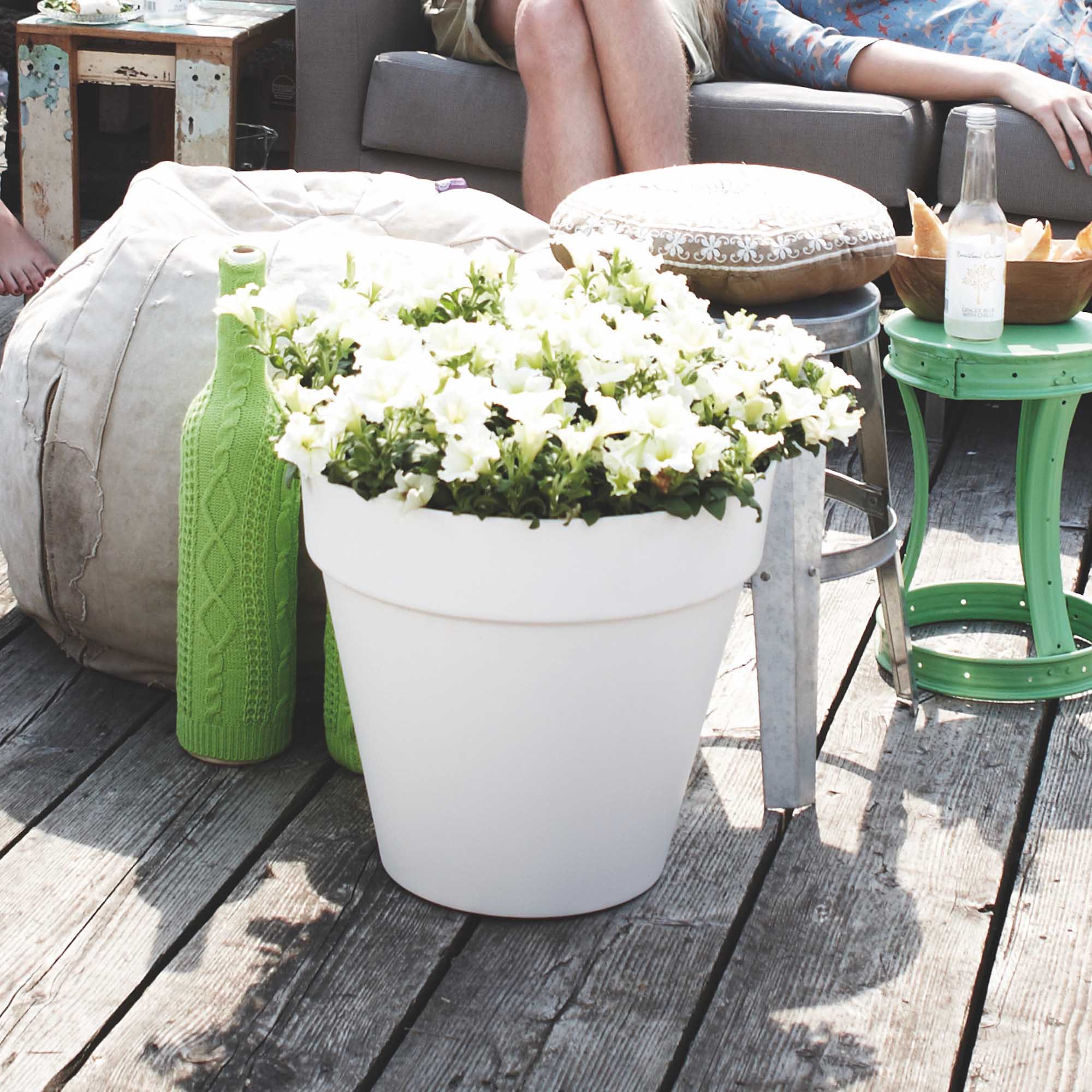 8466b1b73039d602ded731a4bc259642