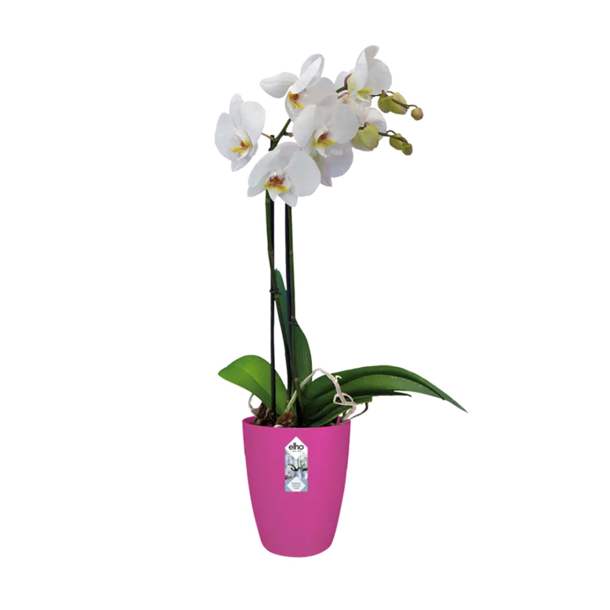 1f013532190d7ae525d9368f97c2ac8f