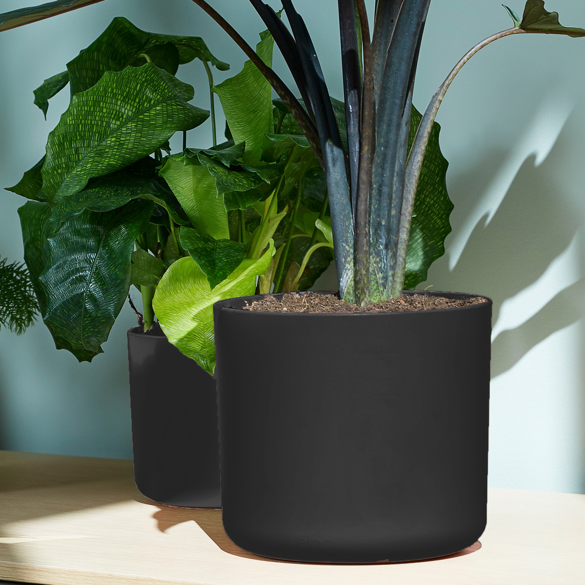 1e6240b6032efc2f6760a10746cca4a7